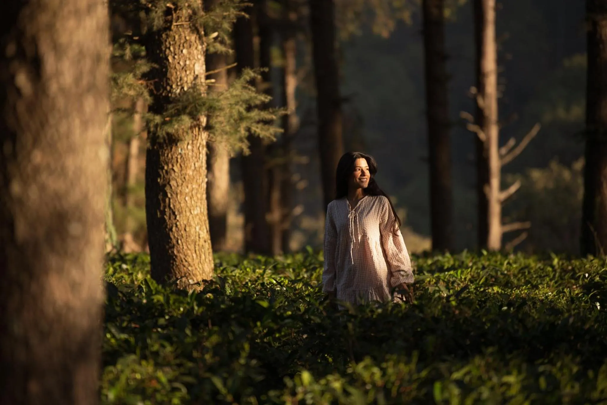 Natural landscape in Brij Atmanya Bhowali, Nainital, A Luxury Mountain Escape