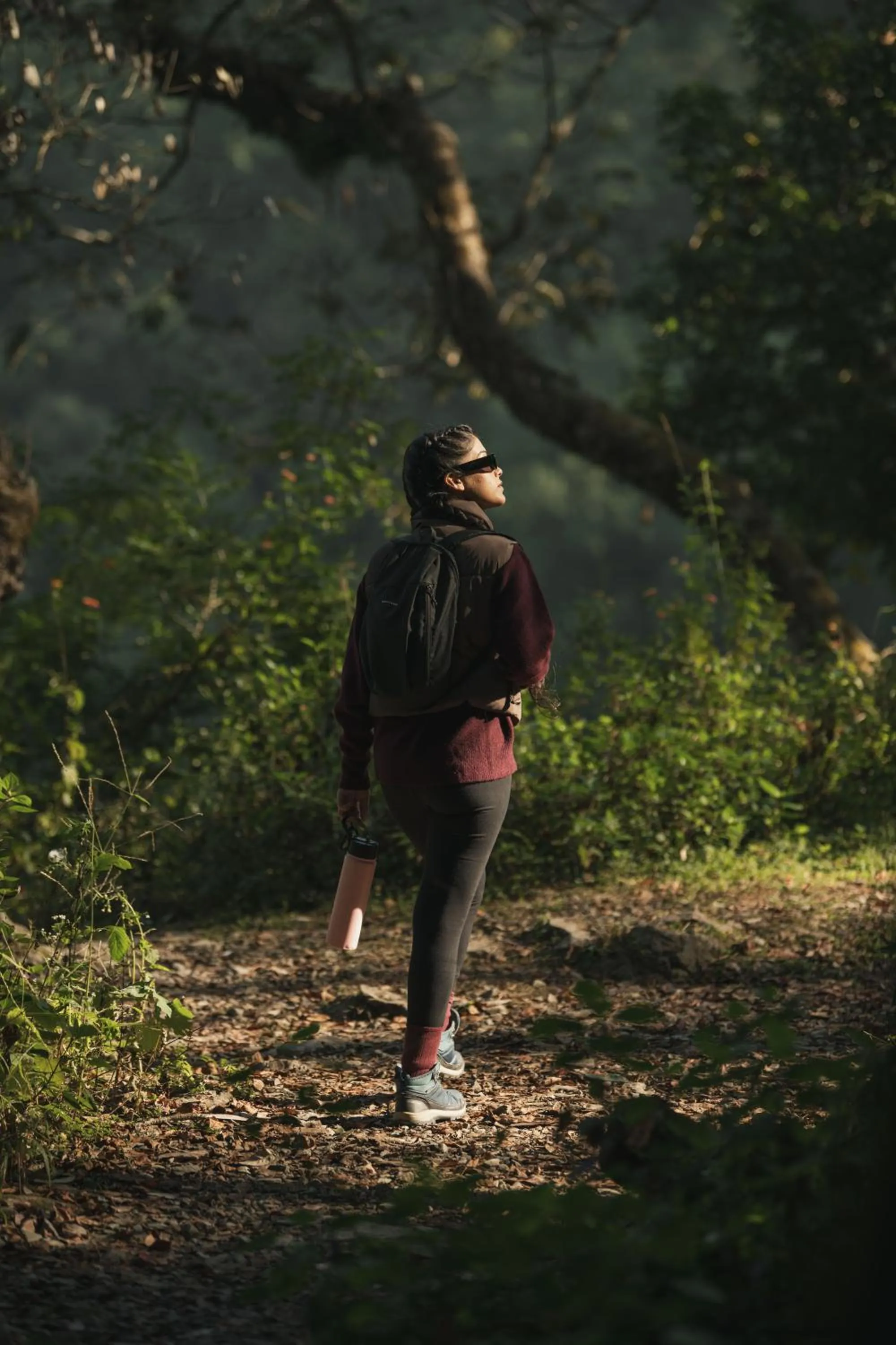 Natural landscape in Brij Atmanya Bhowali, Nainital, A Luxury Mountain Escape