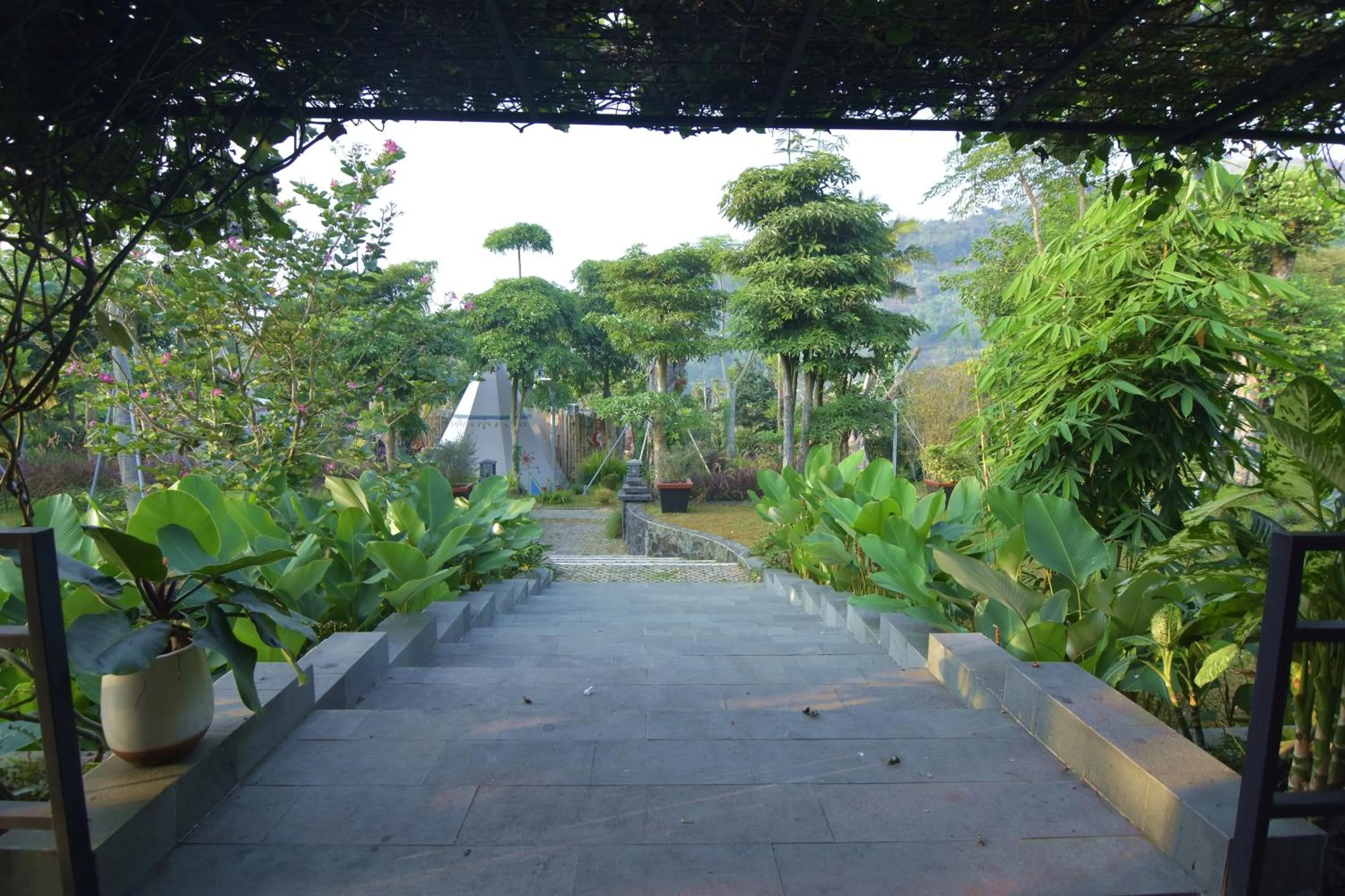 Sarga Earthing Resort