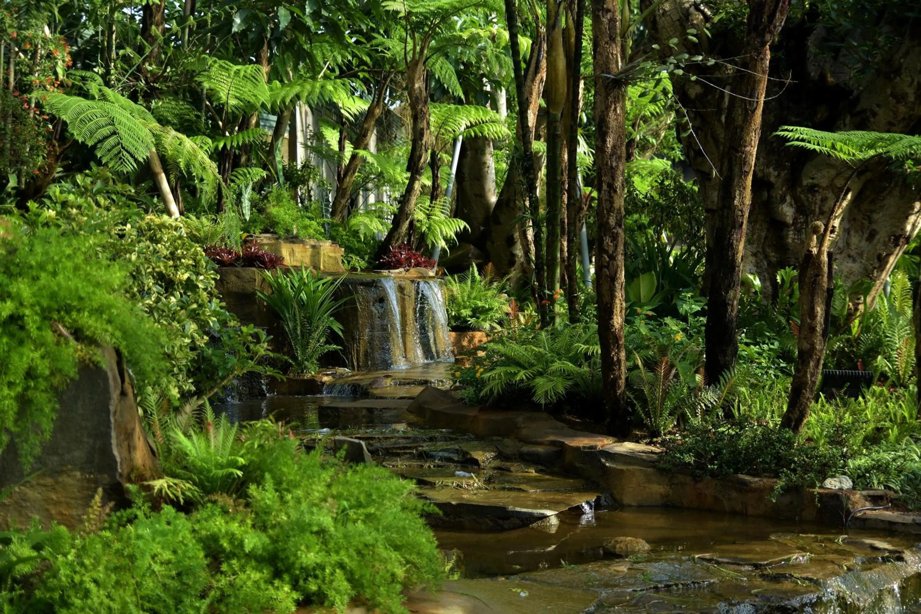 Sarga Earthing Resort