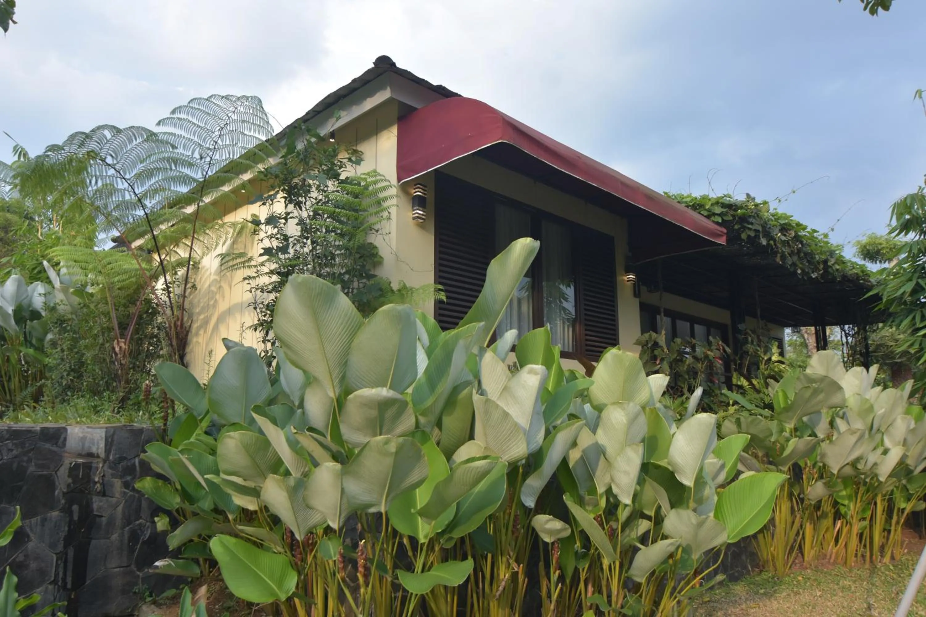 Sarga Earthing Resort