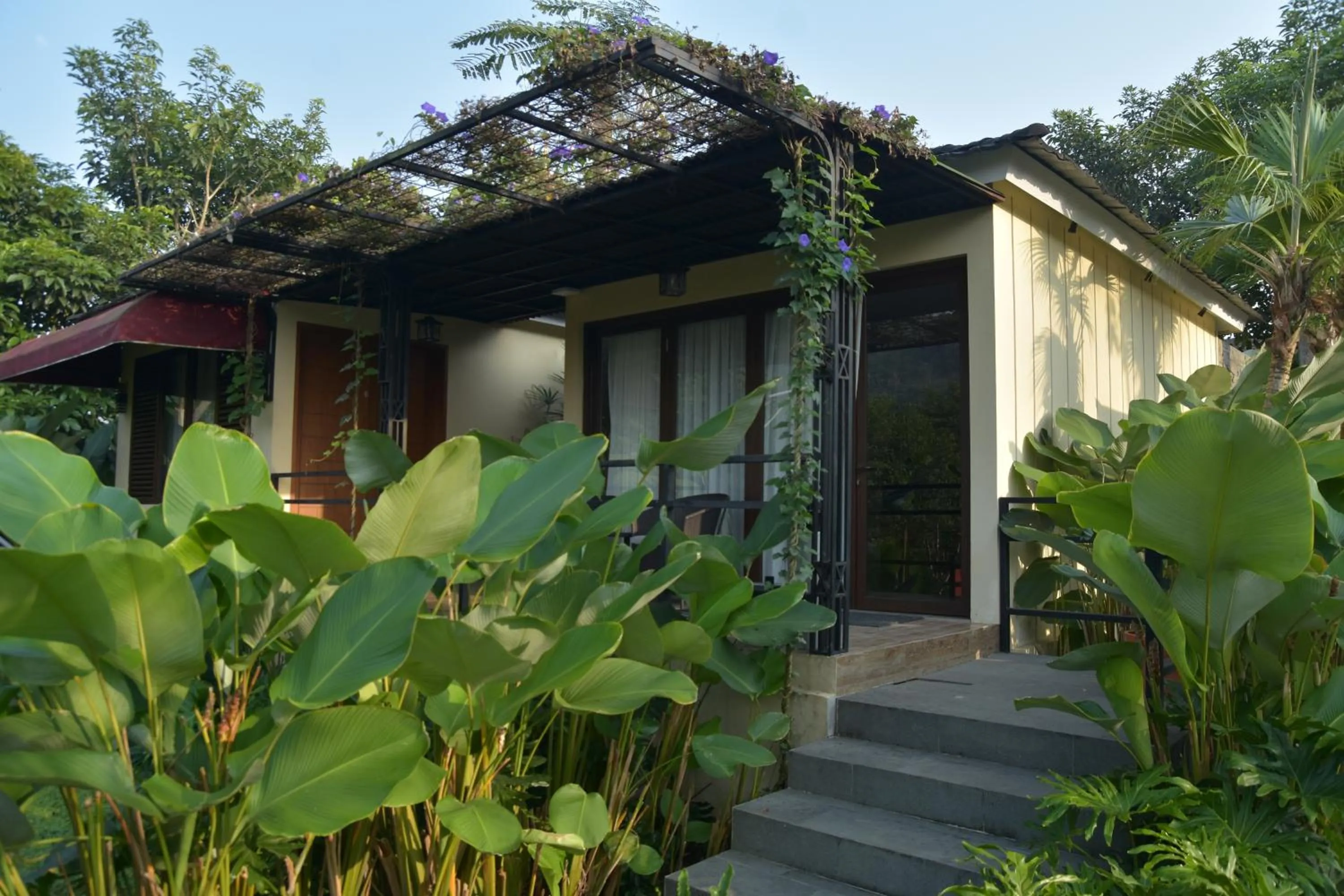 Sarga Earthing Resort