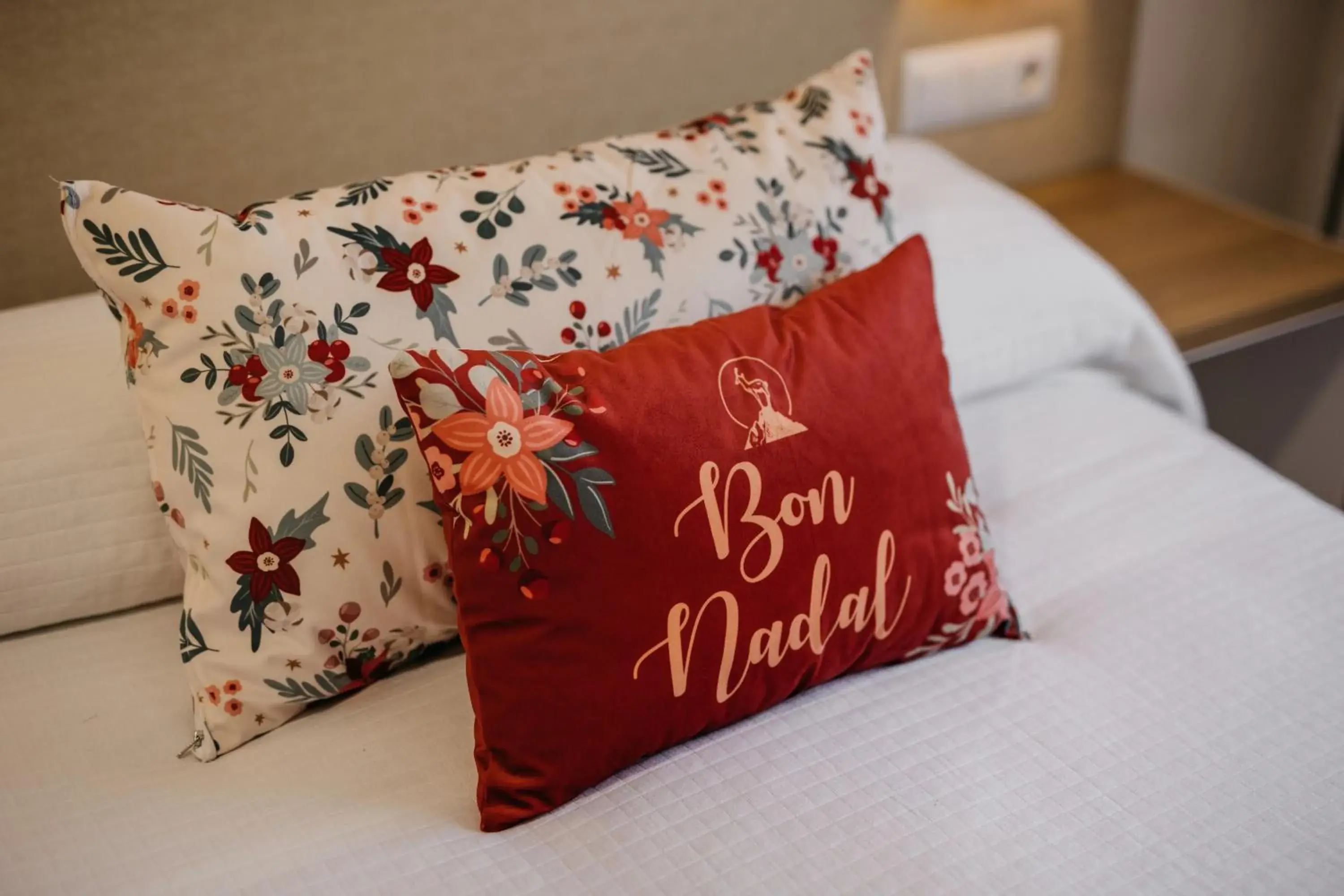 Double or Twin Room in Hotel Catalunya Ribes de Freser Double or Twin Room in Hotel Catalunya Ribes de Freser