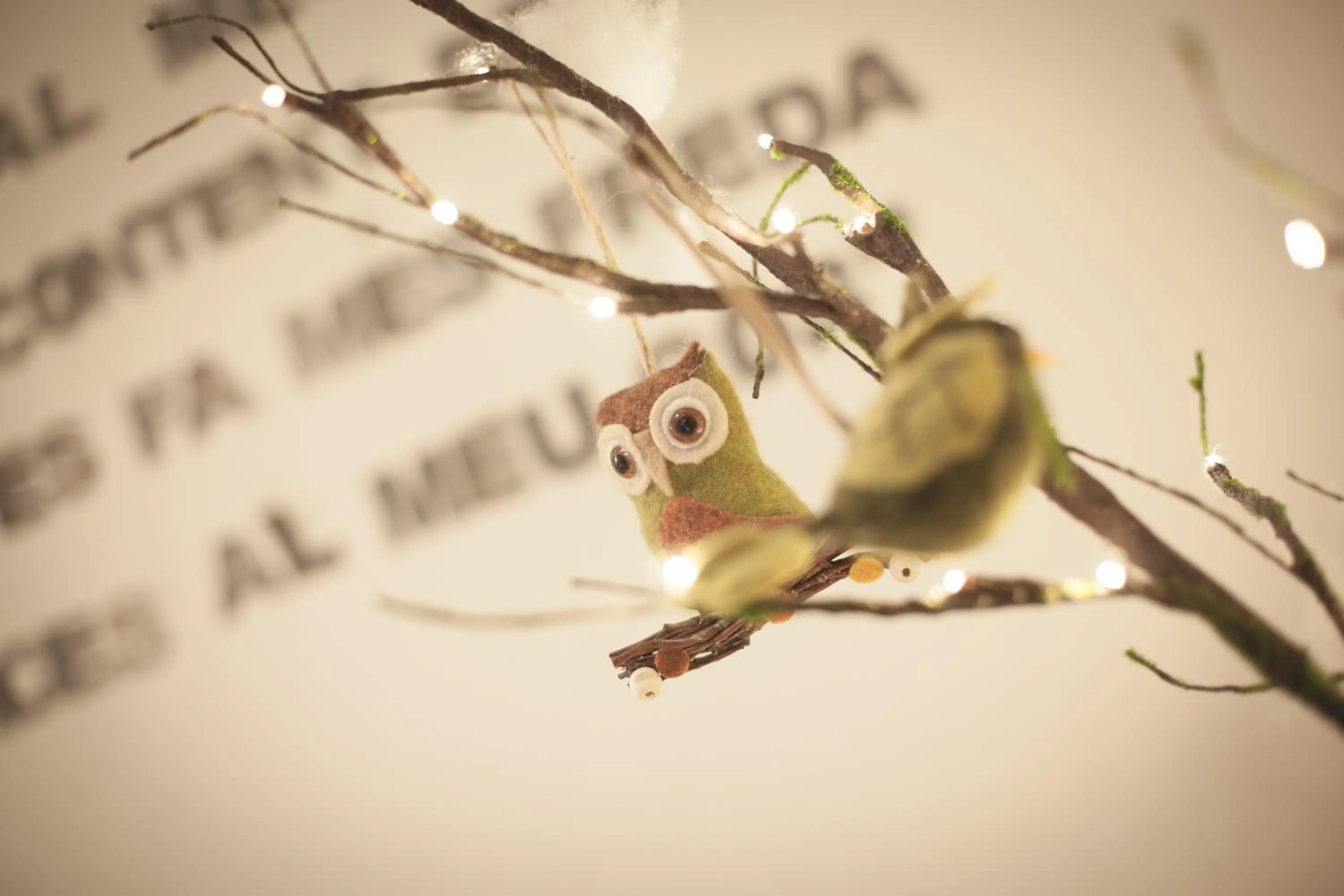 Hotel Catalunya Ribes de Freser