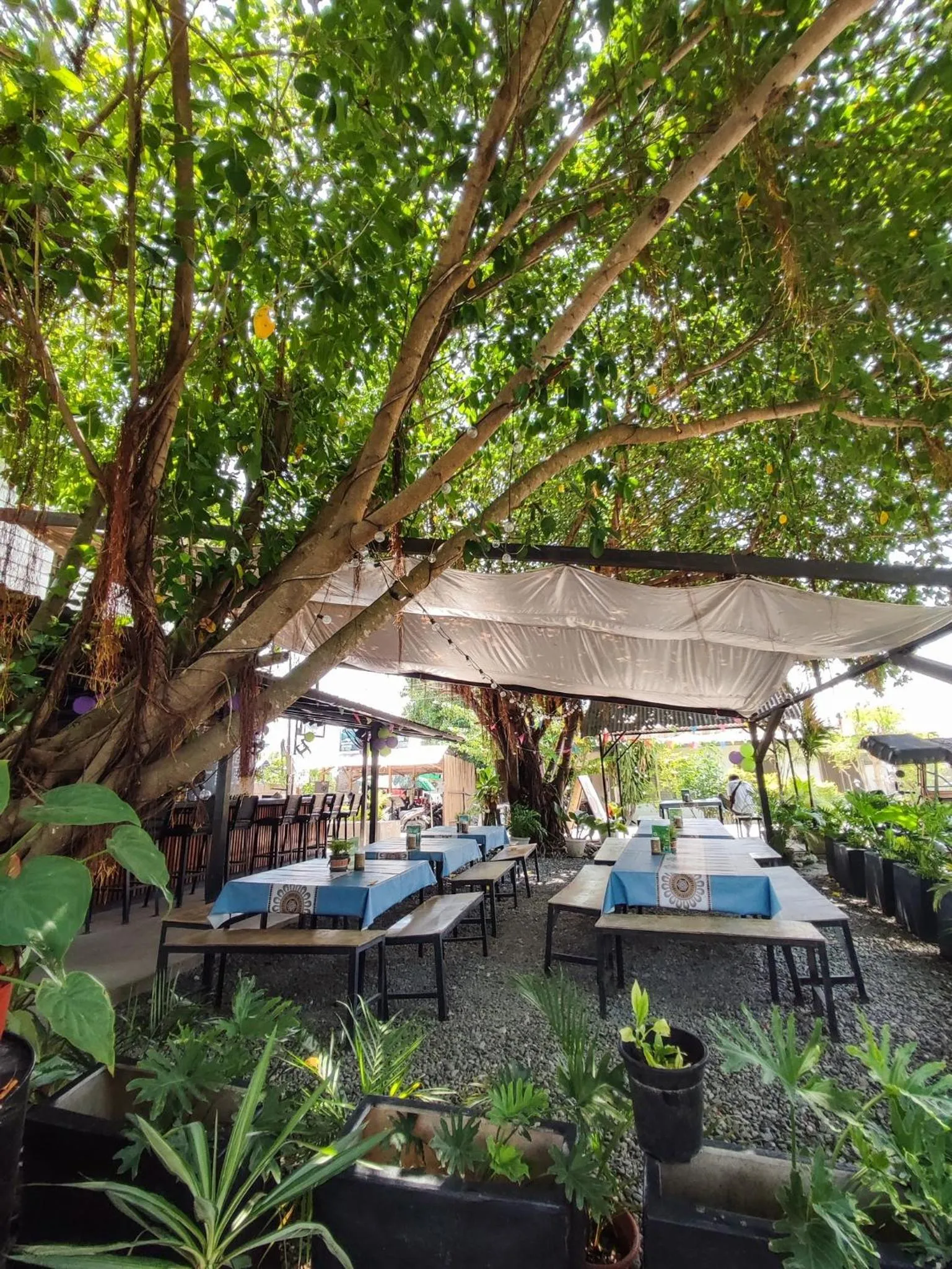 Restaurant/places to eat in HYD Hostel Moalboal