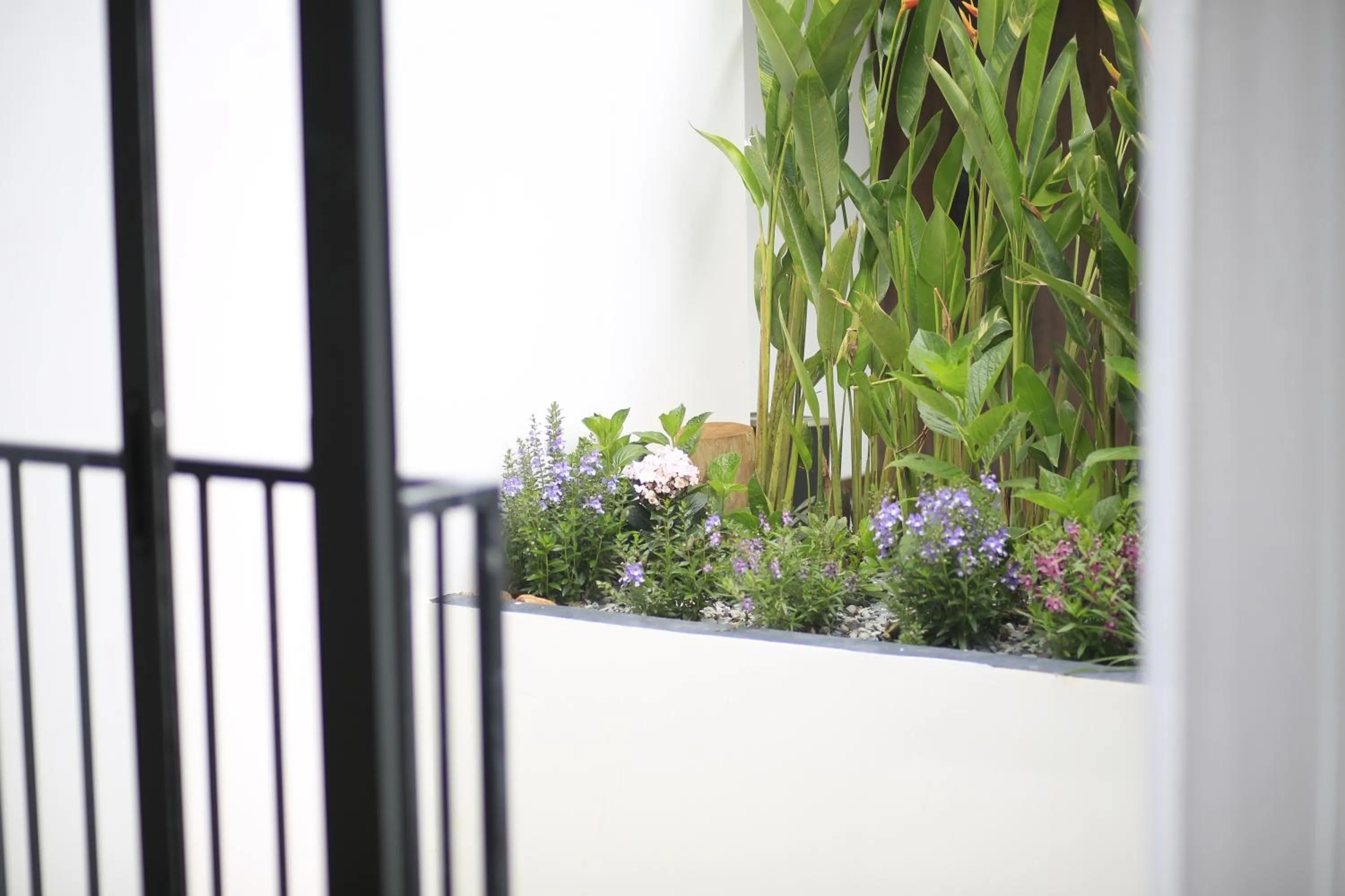 DD Hospitality - Mi Amor Da Lat