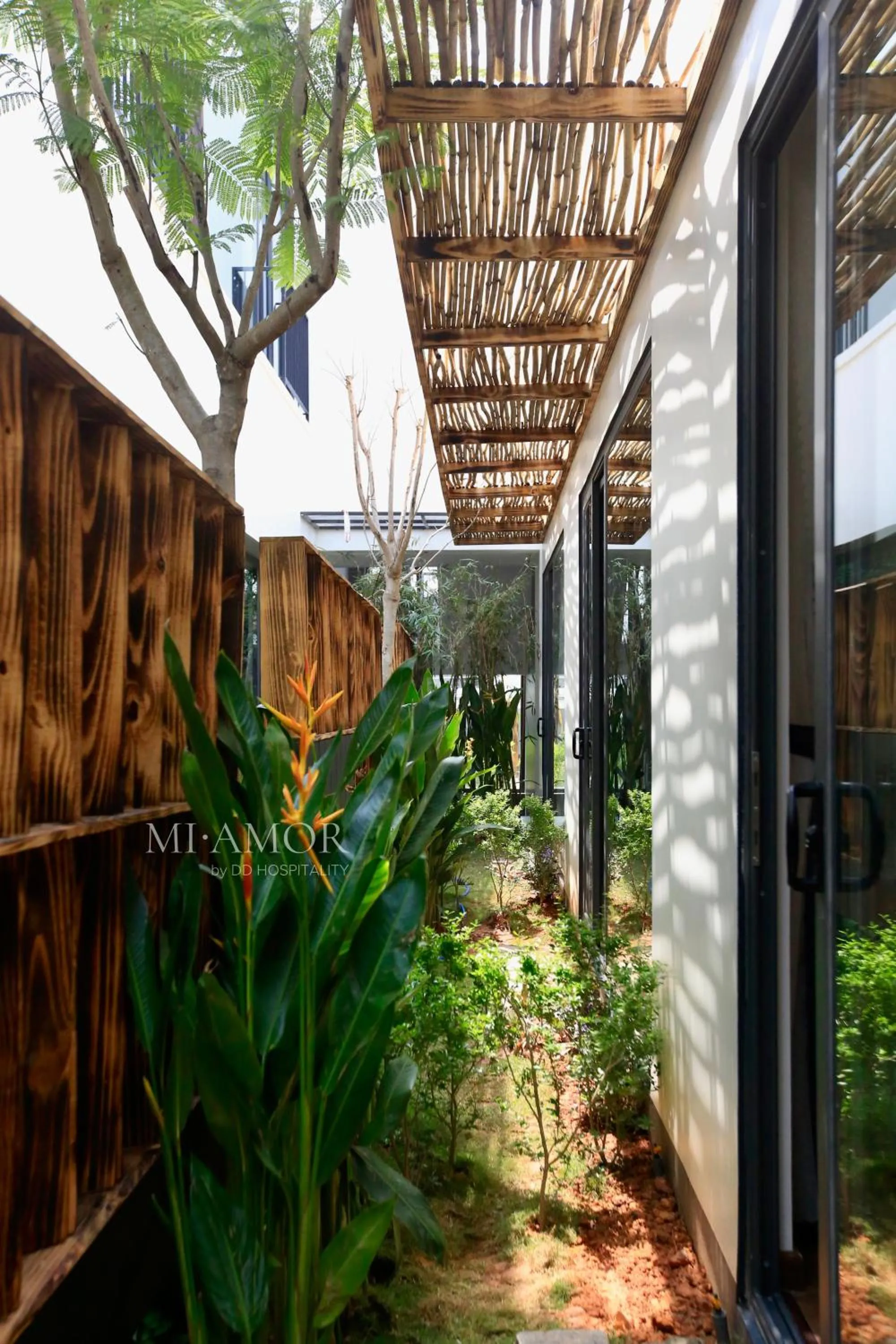 Spring in DD Hospitality - Mi Amor Da Lat