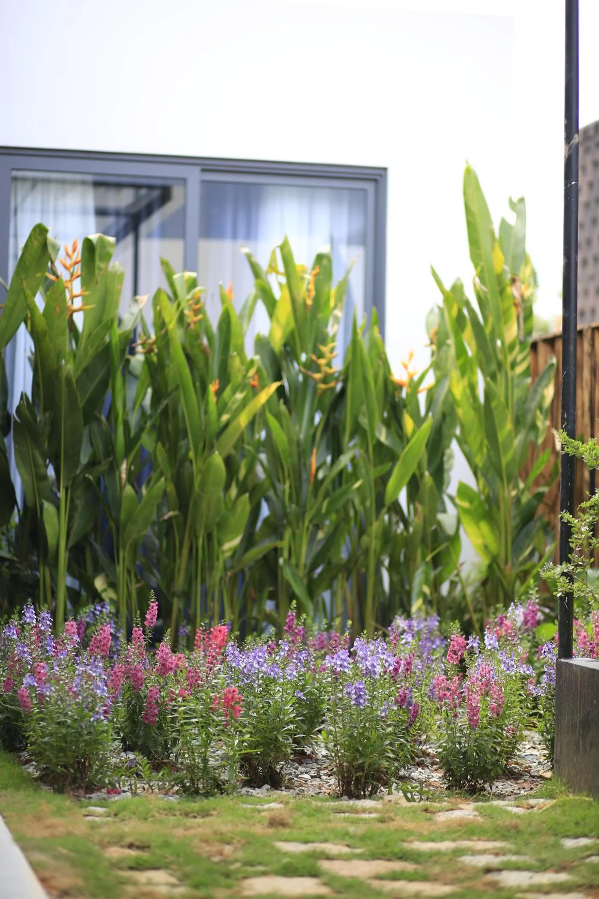 Garden in DD Hospitality - Mi Amor Da Lat