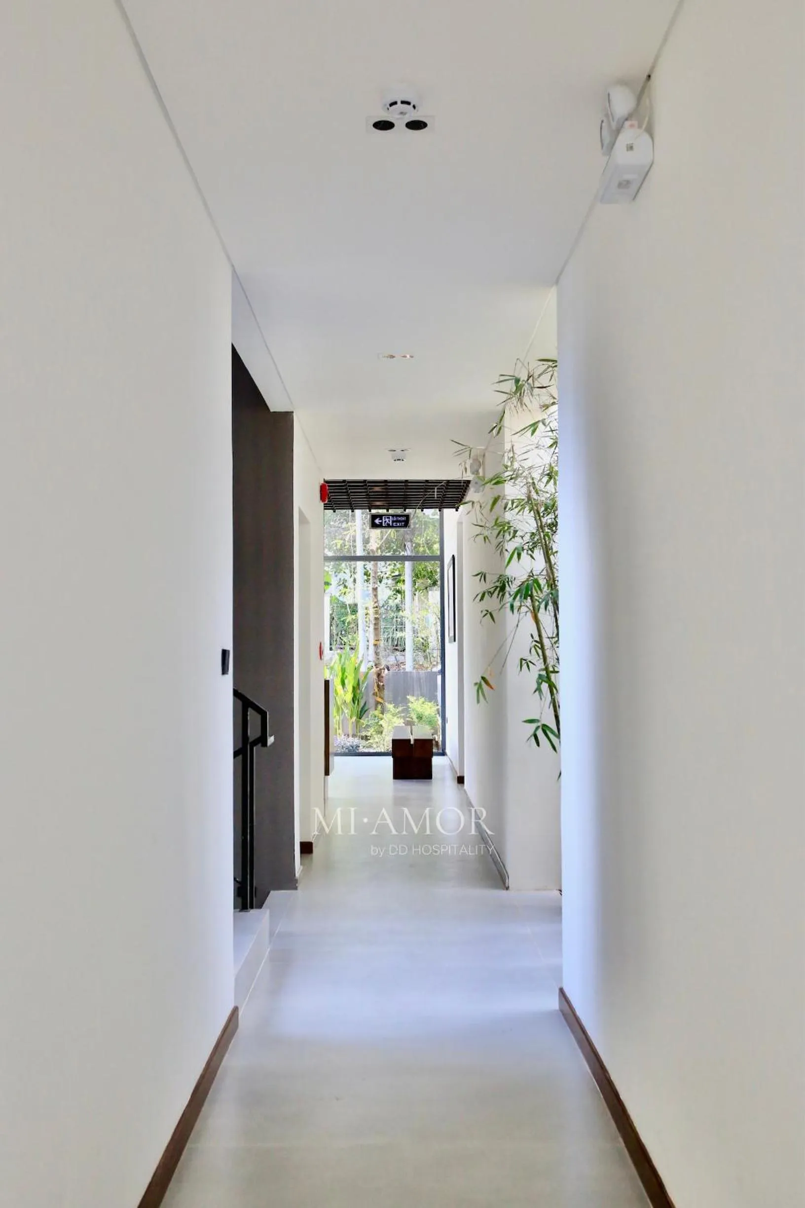 Property building in DD Hospitality - Mi Amor Da Lat