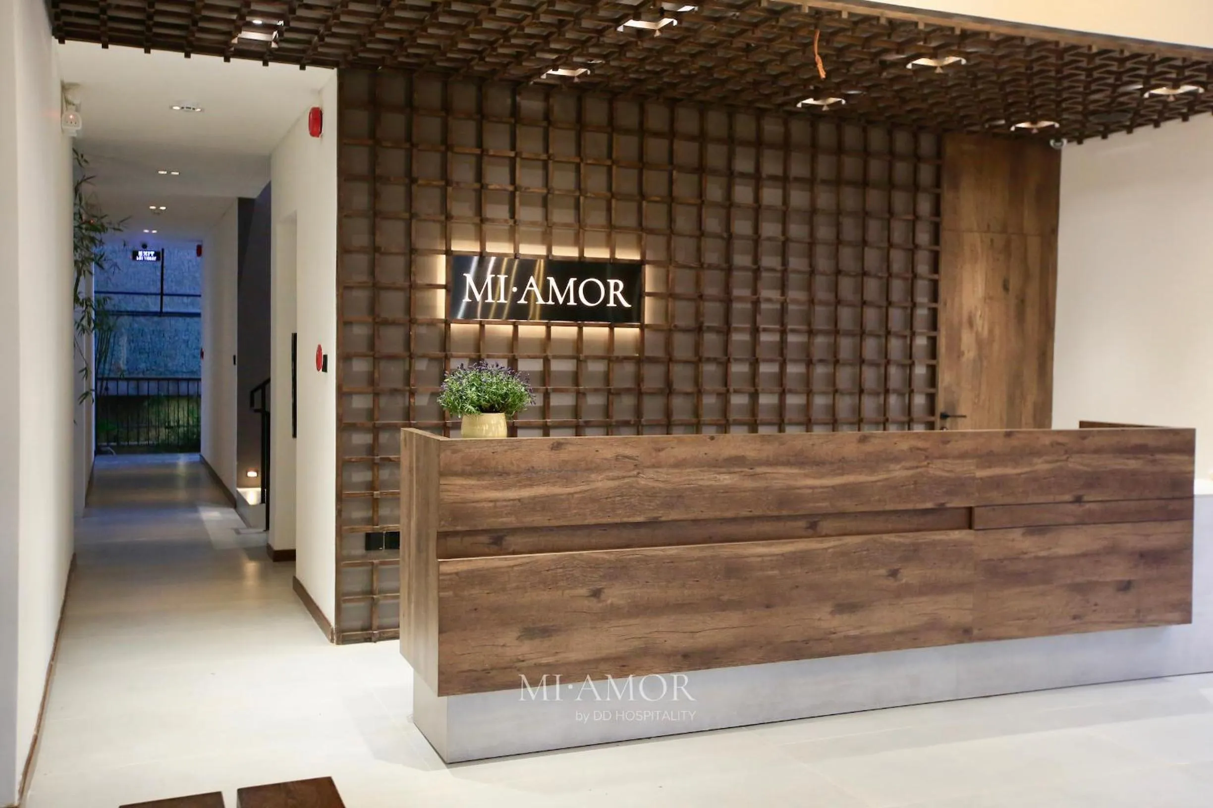 Property building in DD Hospitality - Mi Amor Da Lat