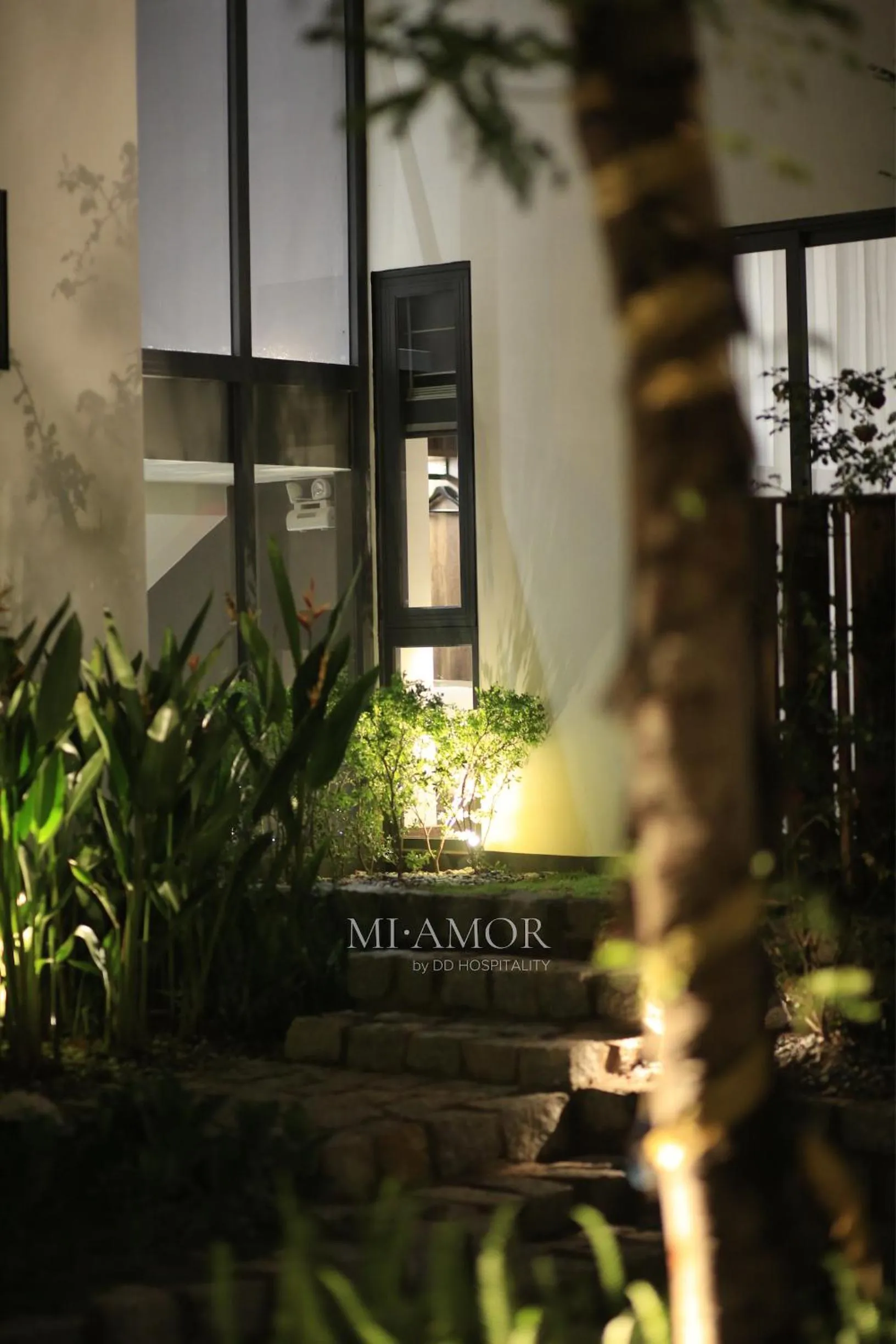 Night in DD Hospitality - Mi Amor Da Lat