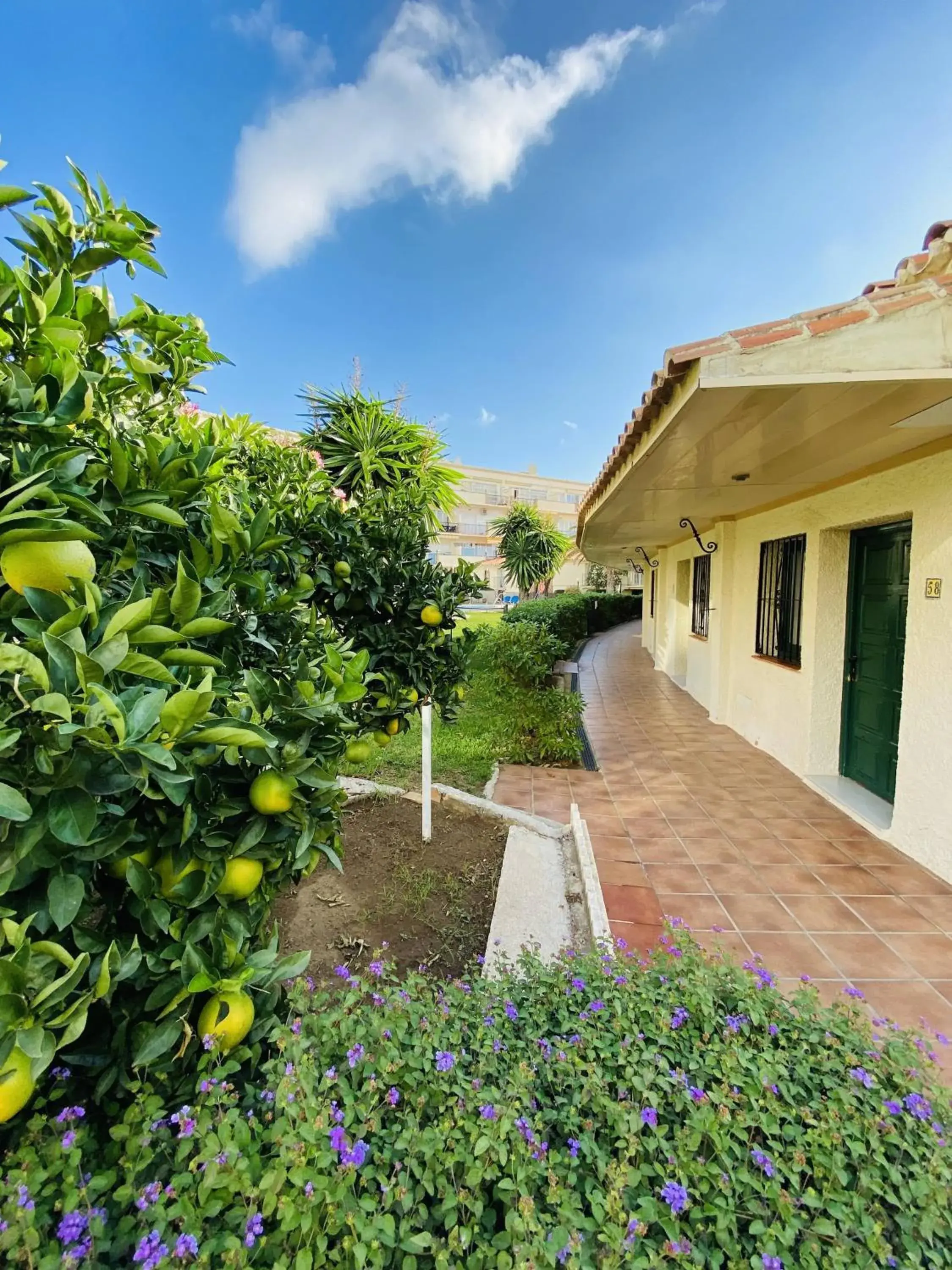 Twin Room - Ground Floor with Partial Swimming Pool View in Hotel Los Jazmines Twin Room - Ground Floor with Partial Swimming Pool View in Hotel Los Jazmines