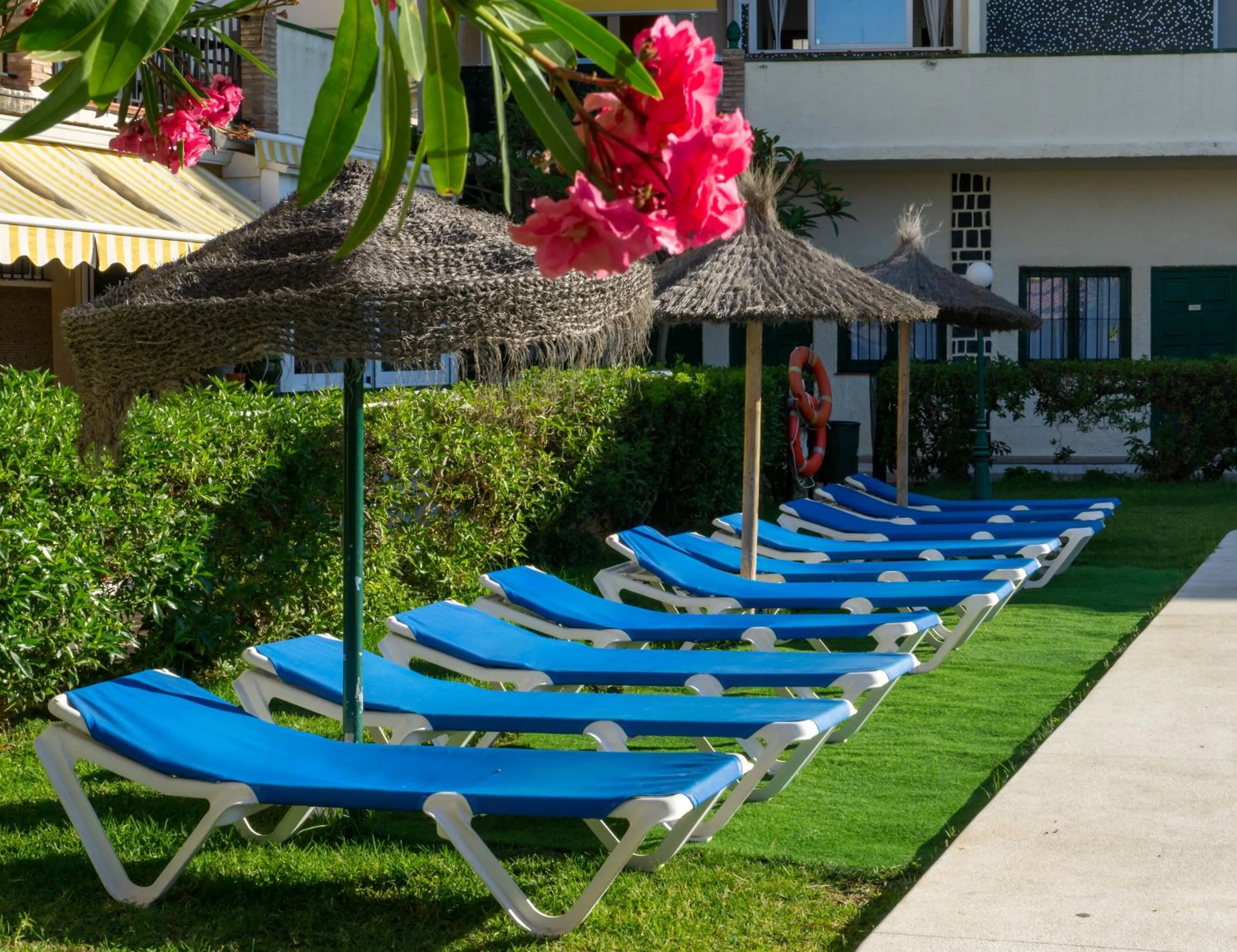 Swimming pool in Hotel Los Jazmines