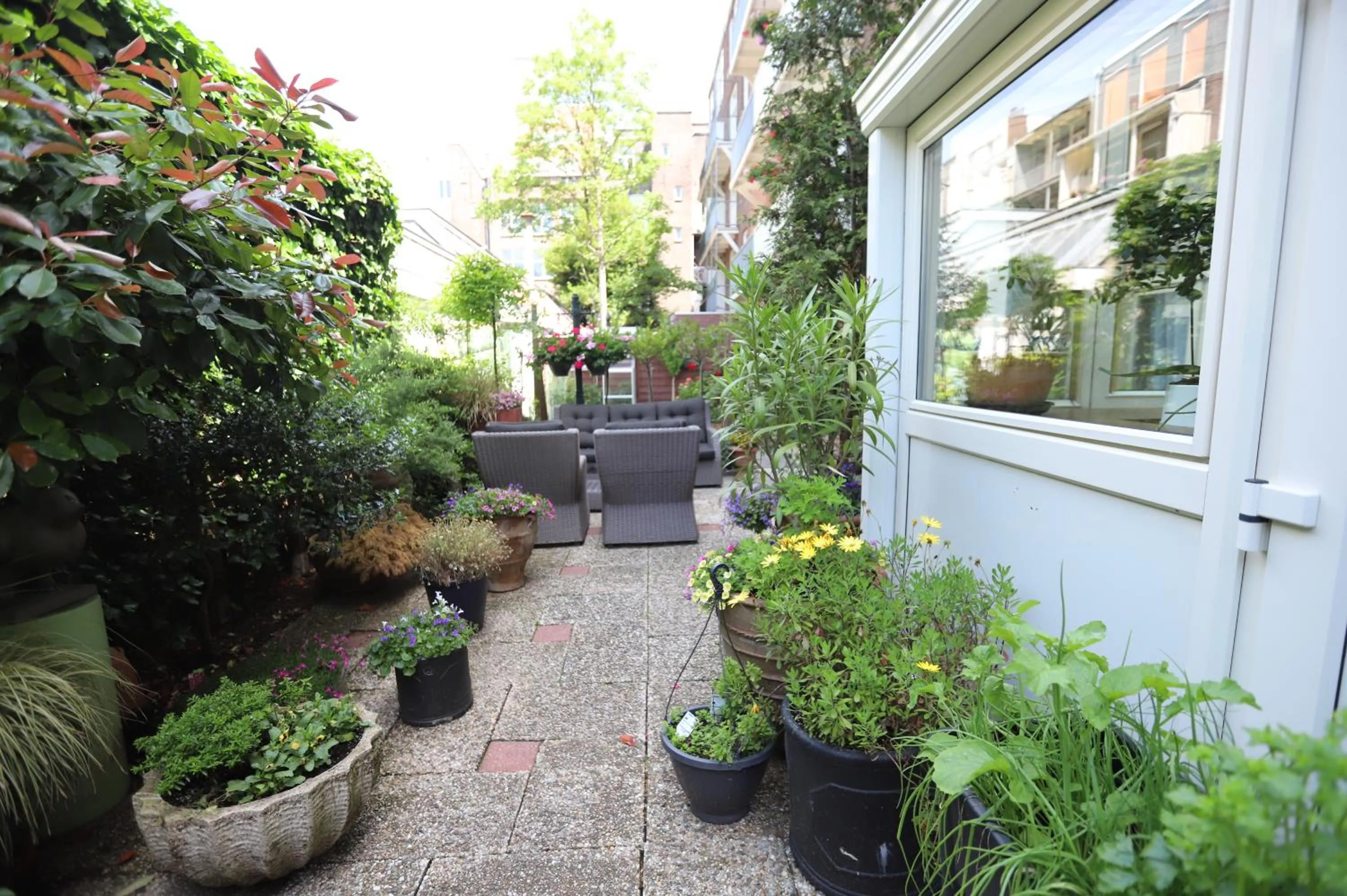 Garden in Jupiter Hotel