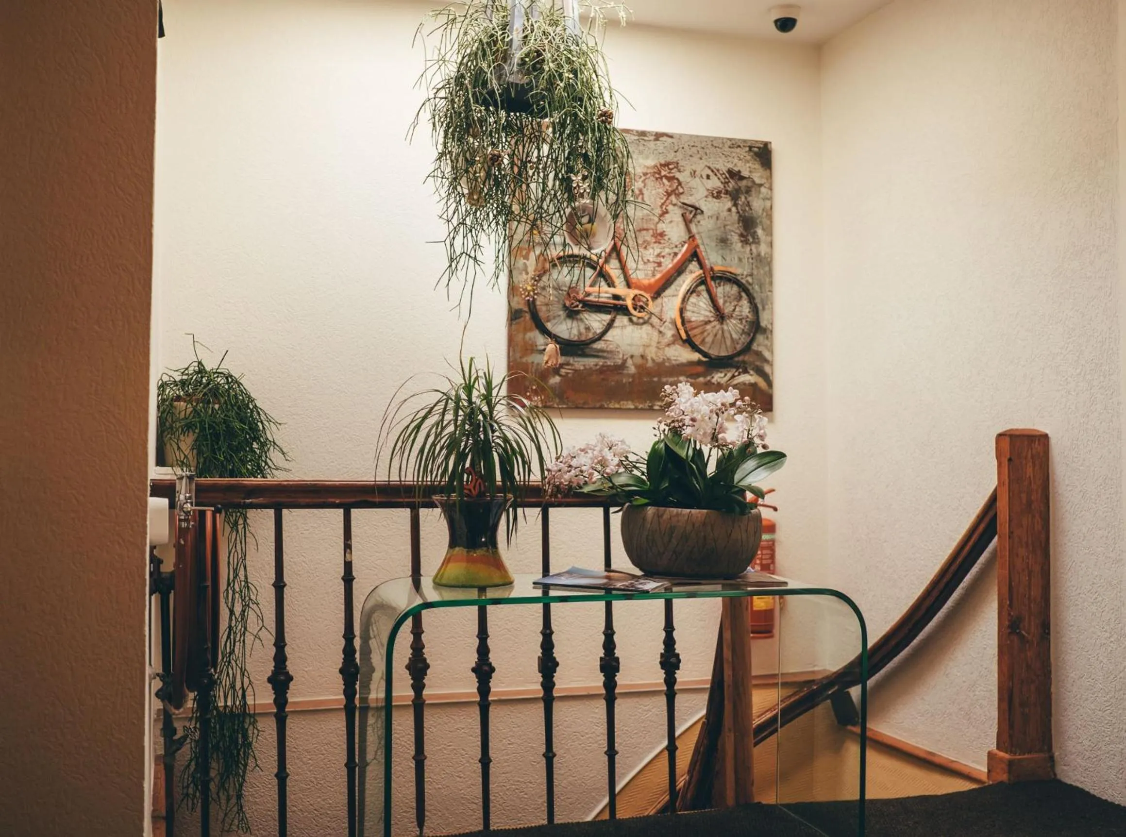 Area and facilities in Jupiter Hotel