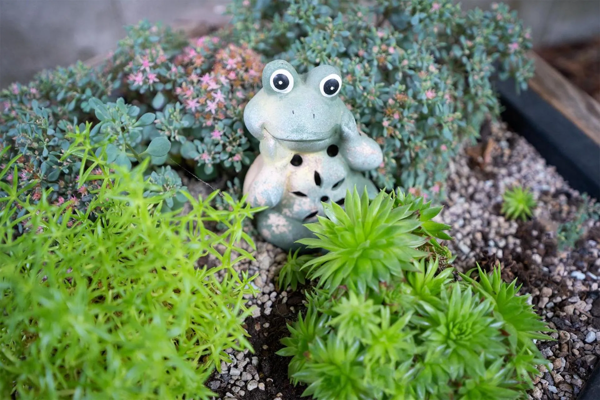 Garden in Hotel Sonne
