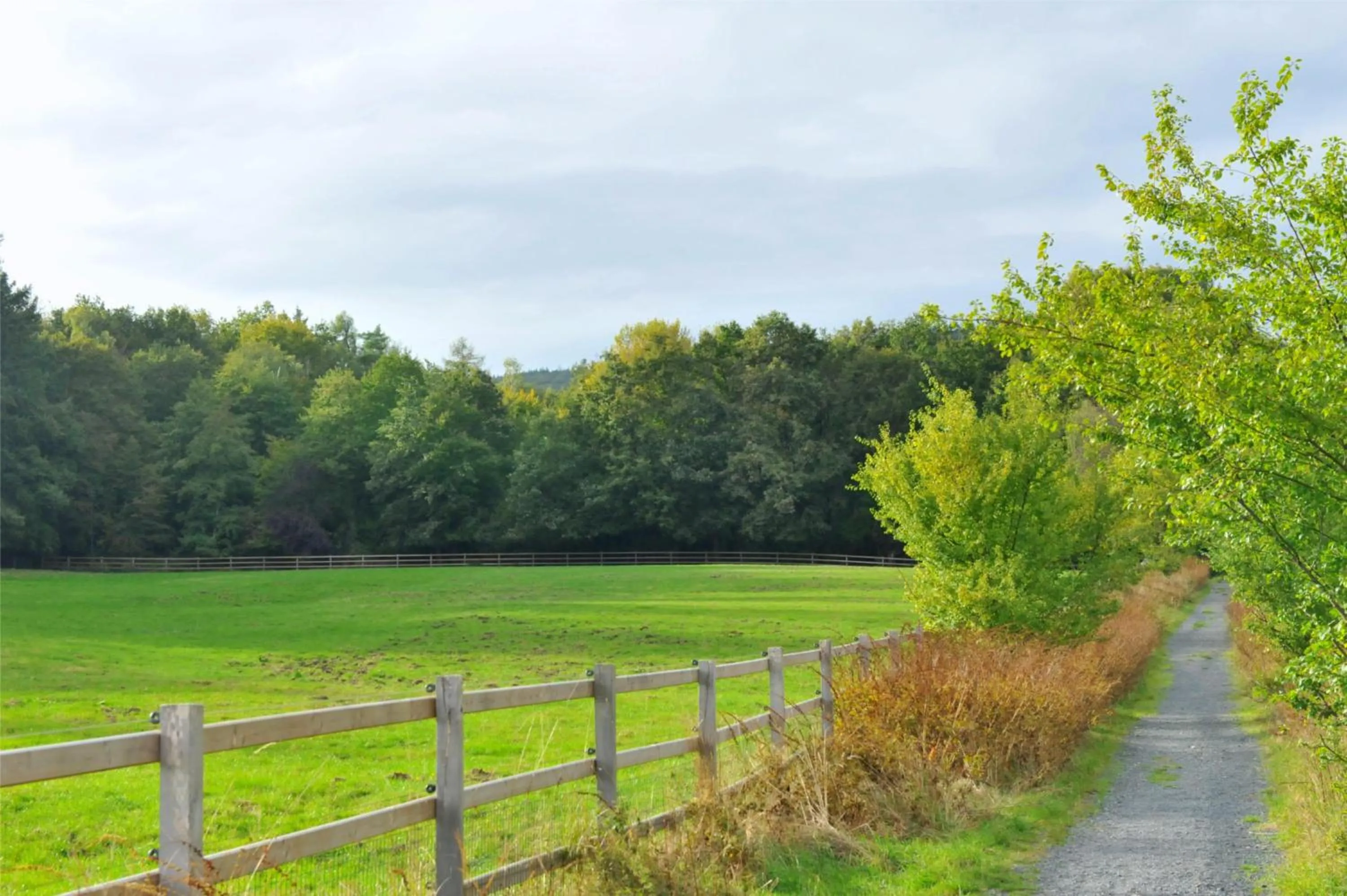 Hiking in Hotel Sonne