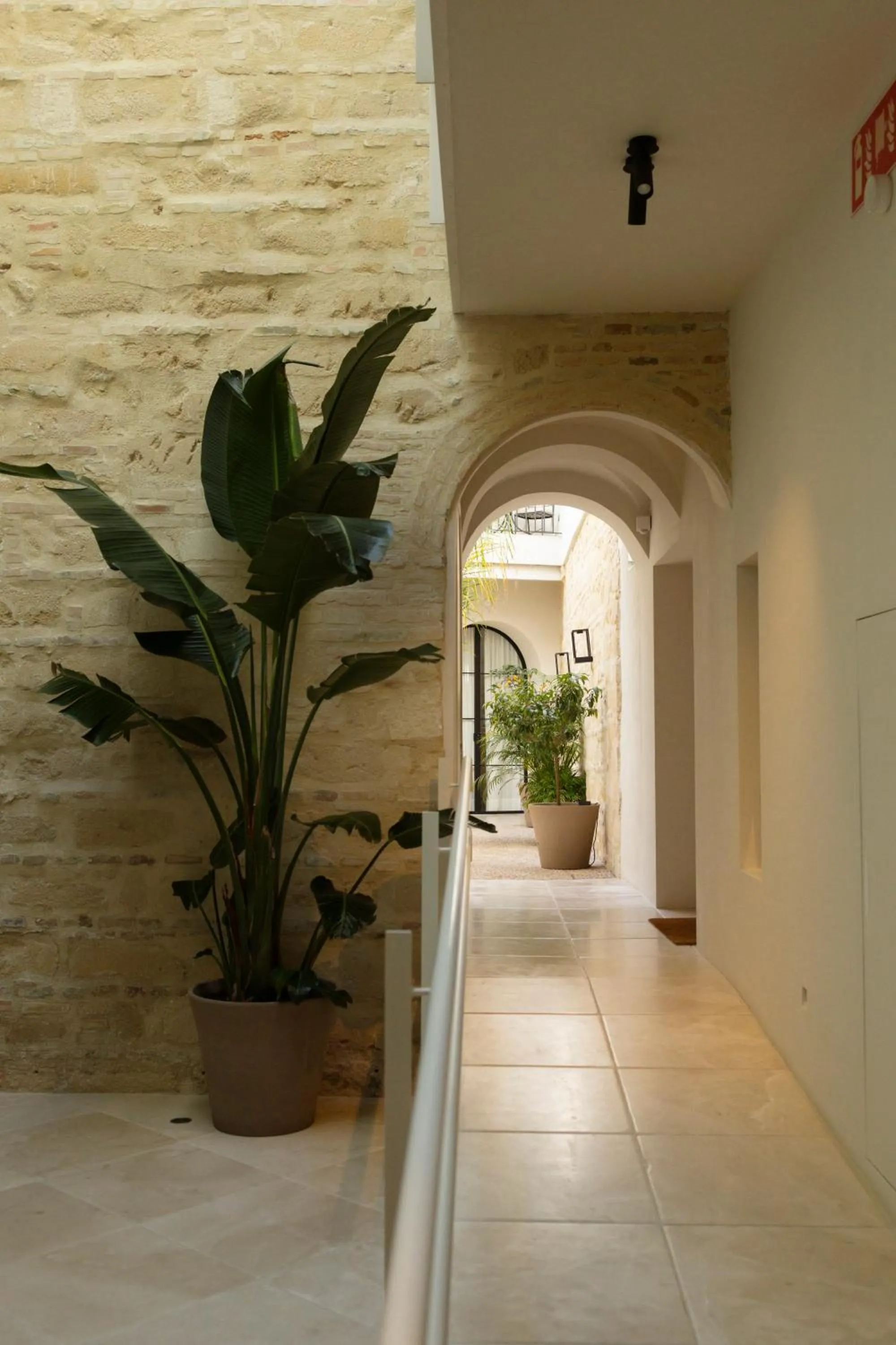 Patio in Hotel Boutique Sidonia