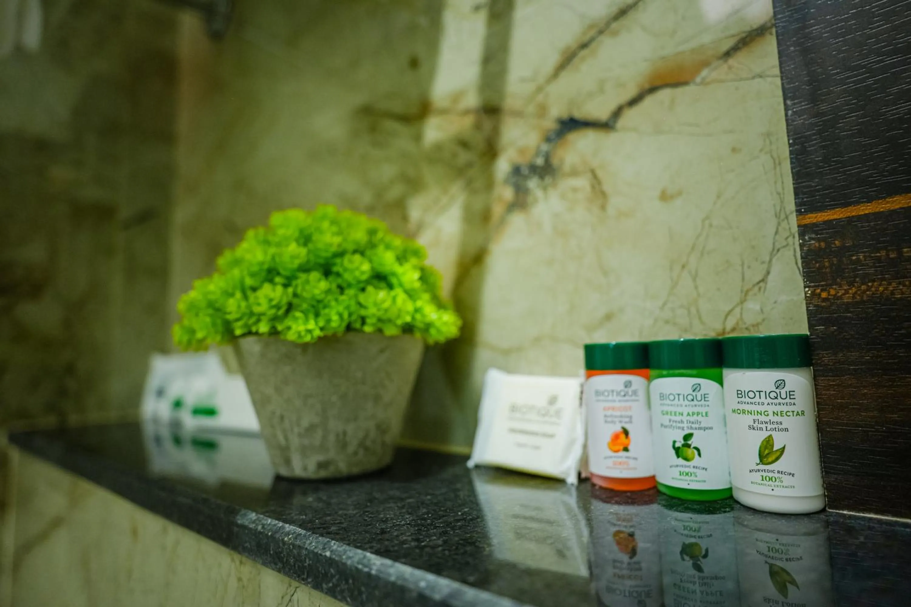 Sri Shyam Villas Near Kashi Vishwanath Temple