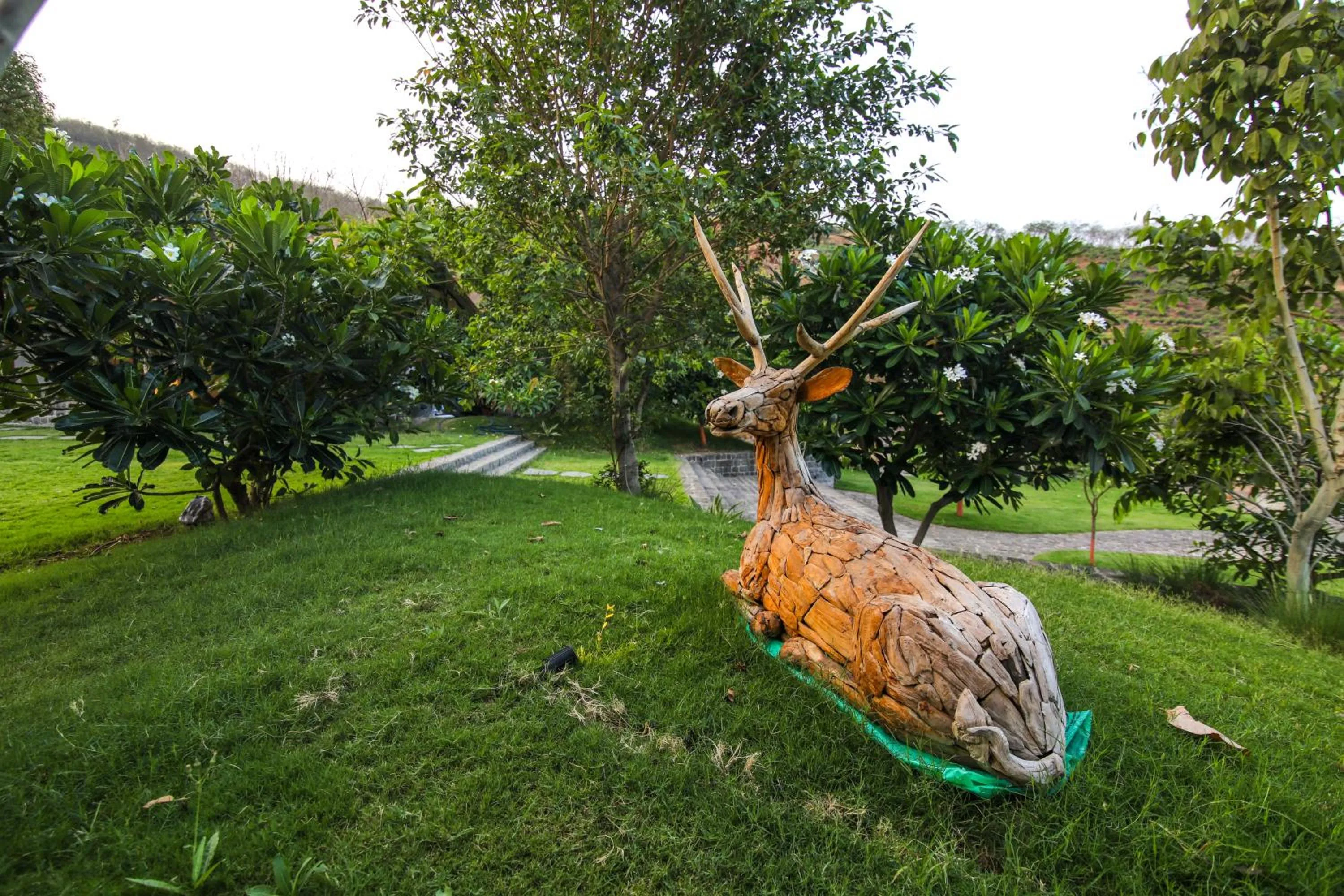 Garden in Toyam by Orchid Hotels