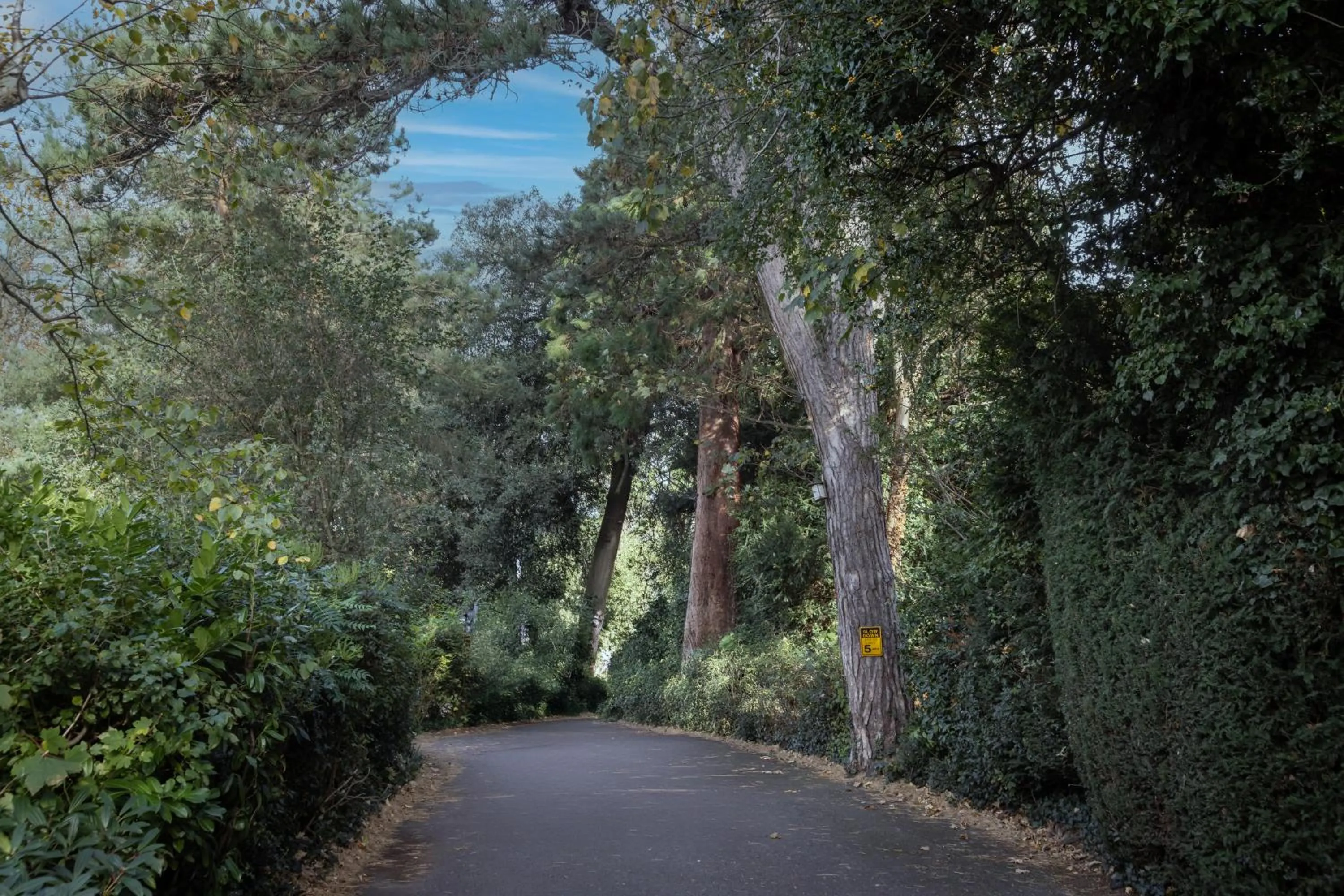 Garden in Best Western Abbots Barton Hotel