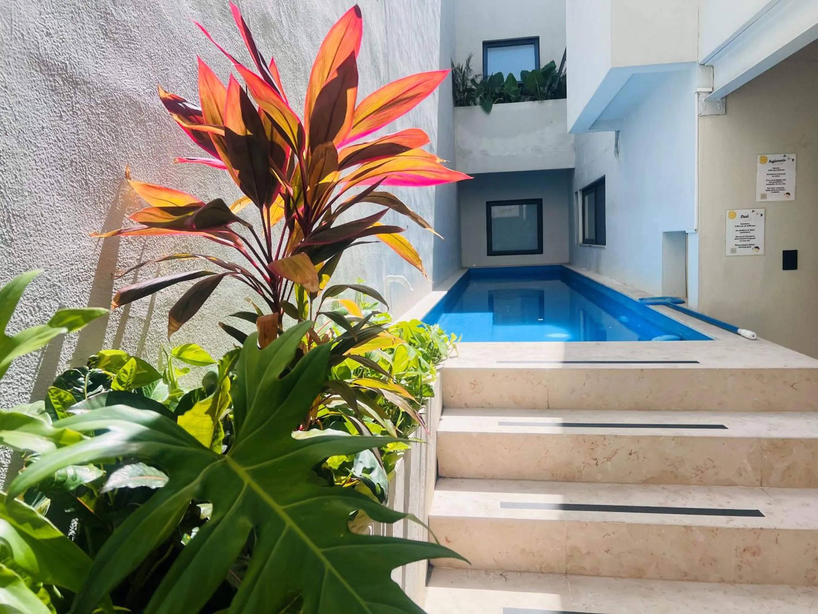 Swimming pool in Casa Ula