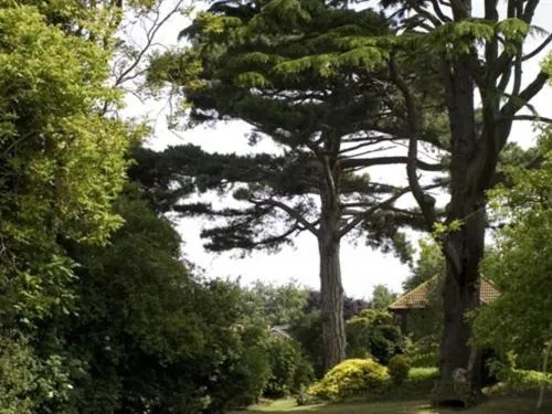 Property building in Canterbury Hotel Cottages and Apartment's