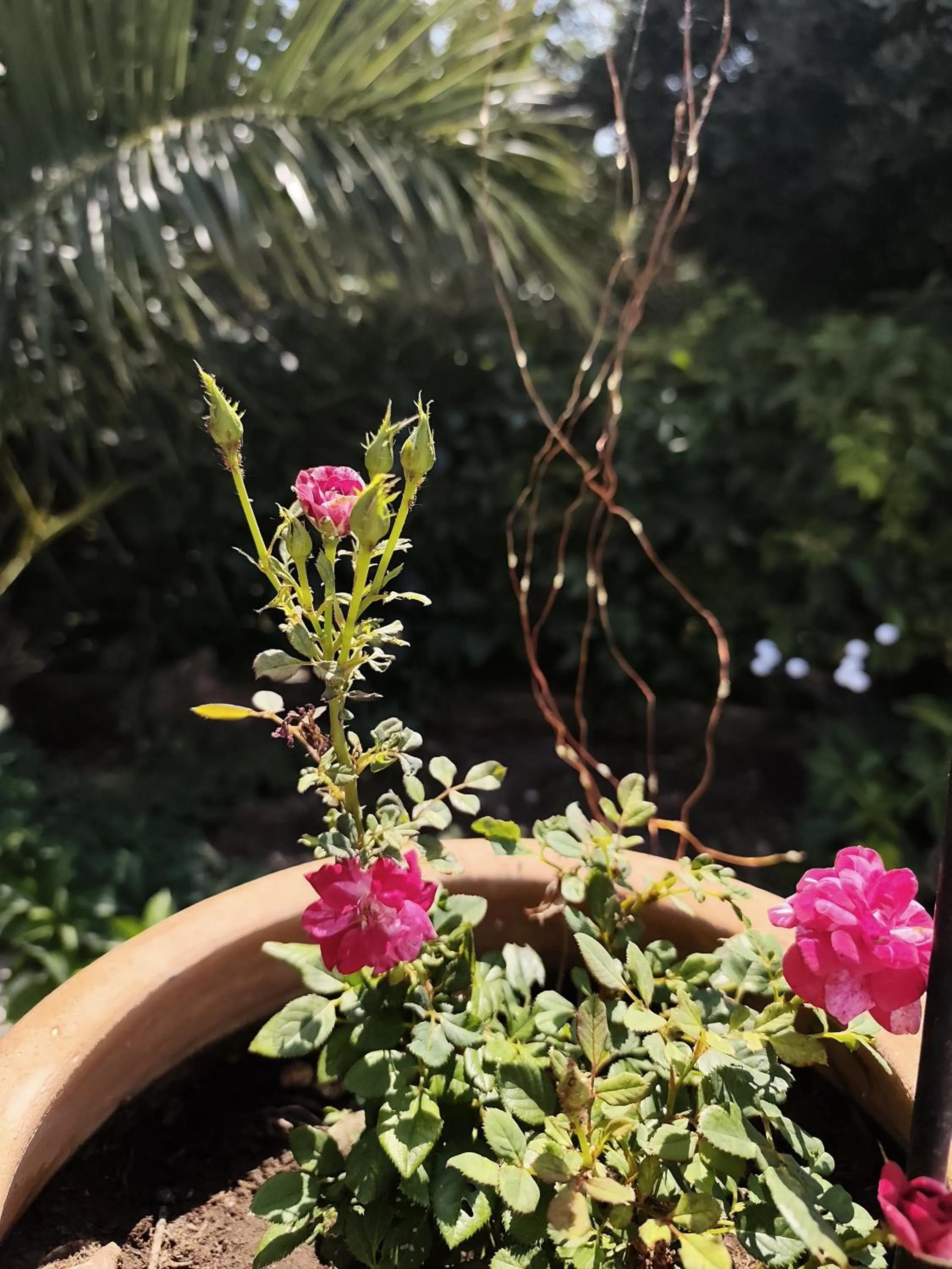 Elia Village by Irida Iris Group