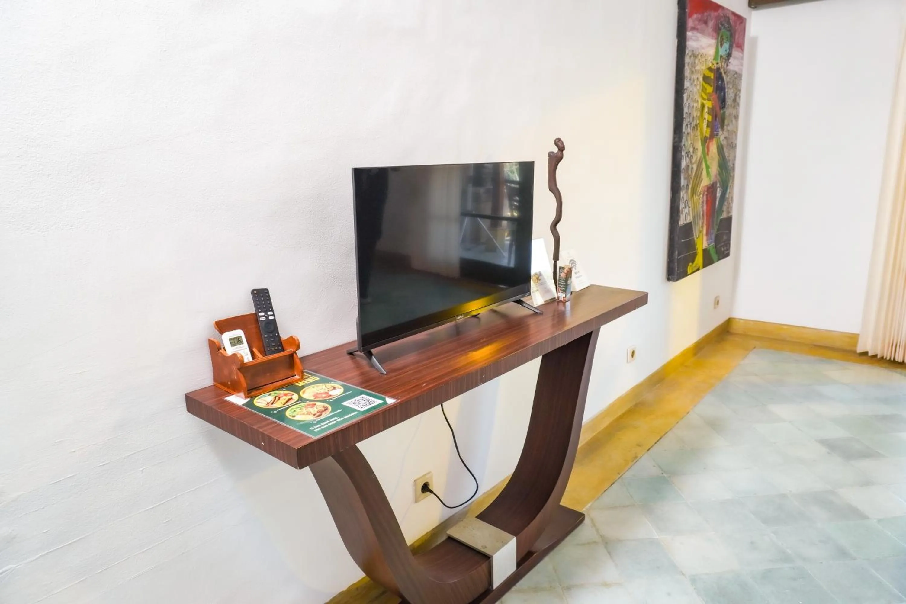 TV and multimedia in Alam Puri Art Museum and Villas