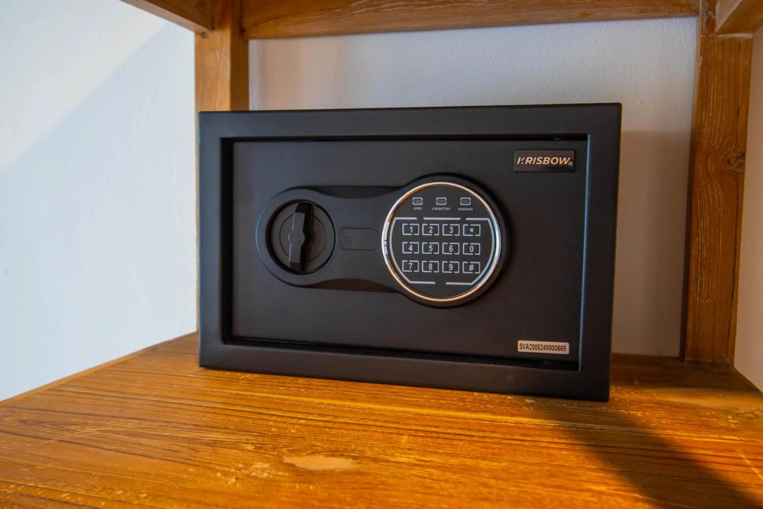 safe in Alam Puri Art Museum and Villas