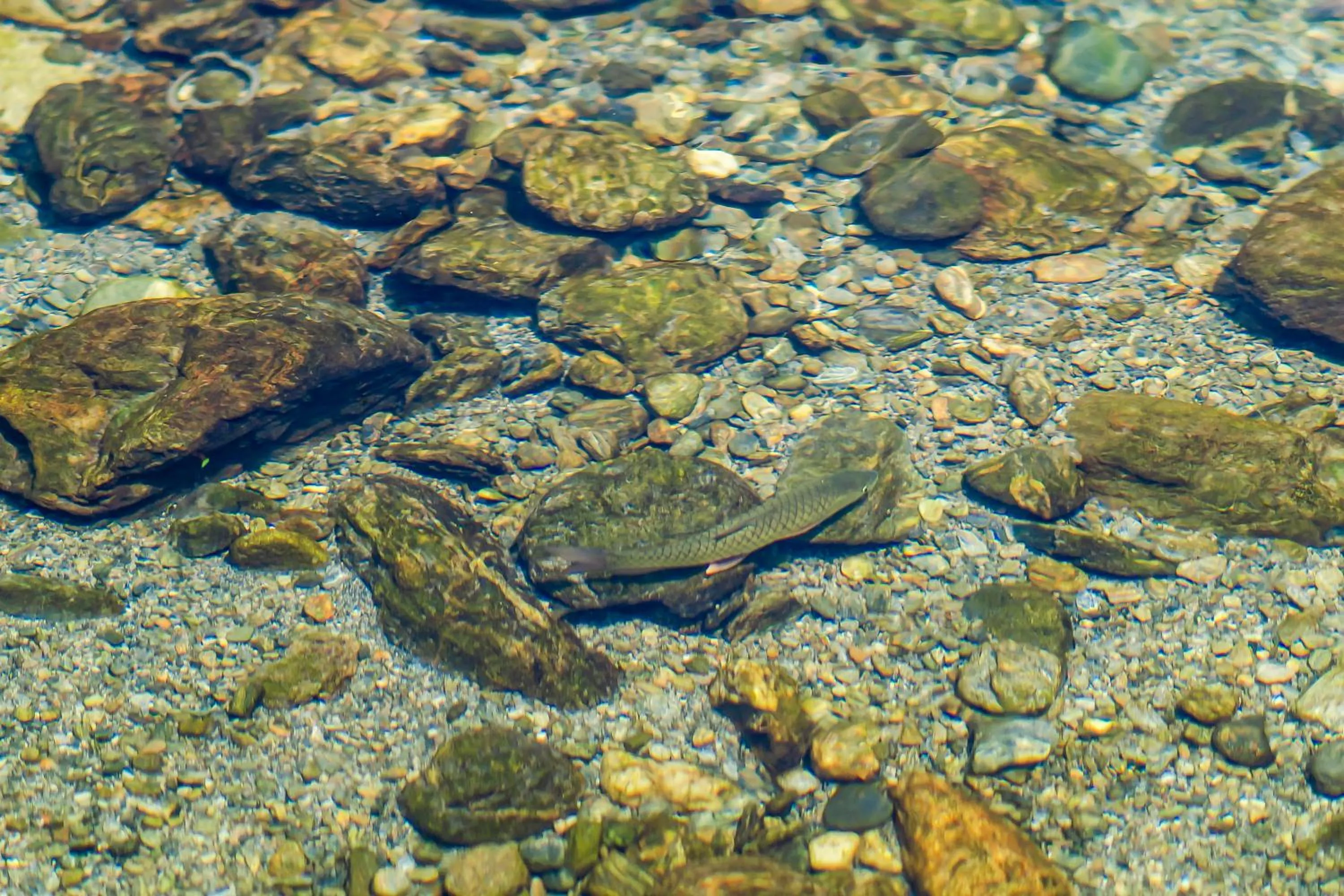 Natural landscape in Na Sun Na Gu