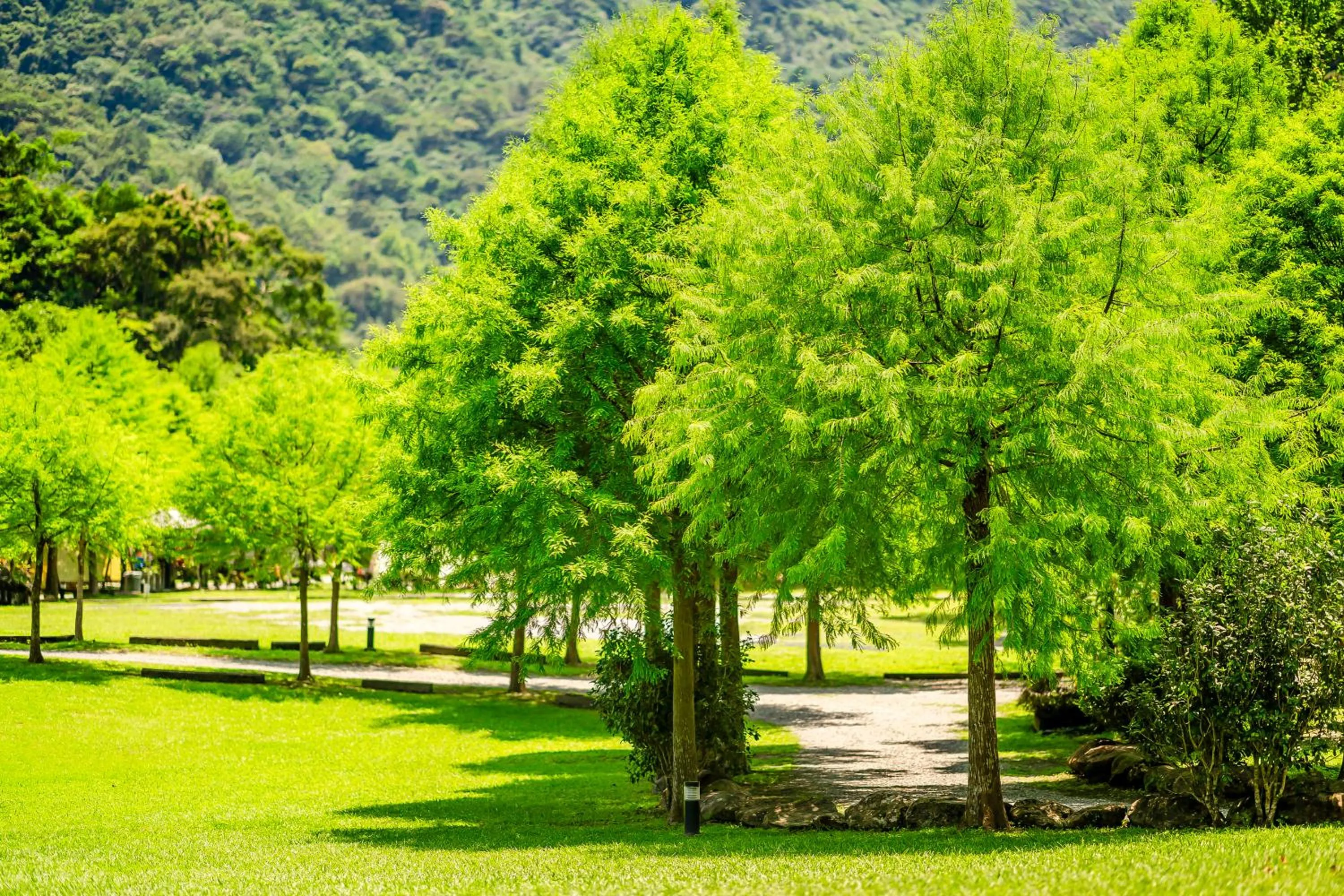 Natural landscape in Na Sun Na Gu