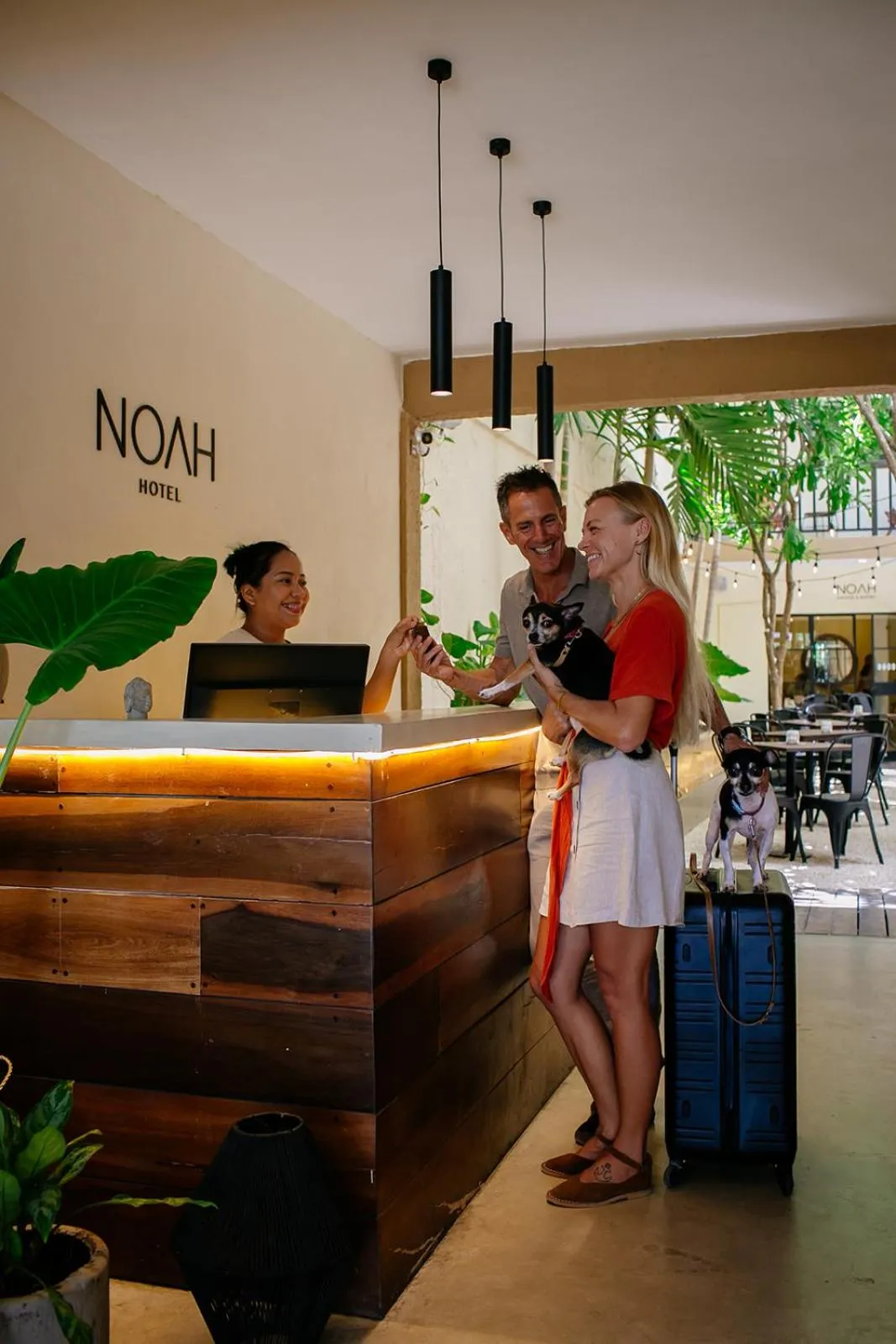 Lobby or reception in Hotel Noah Tulum