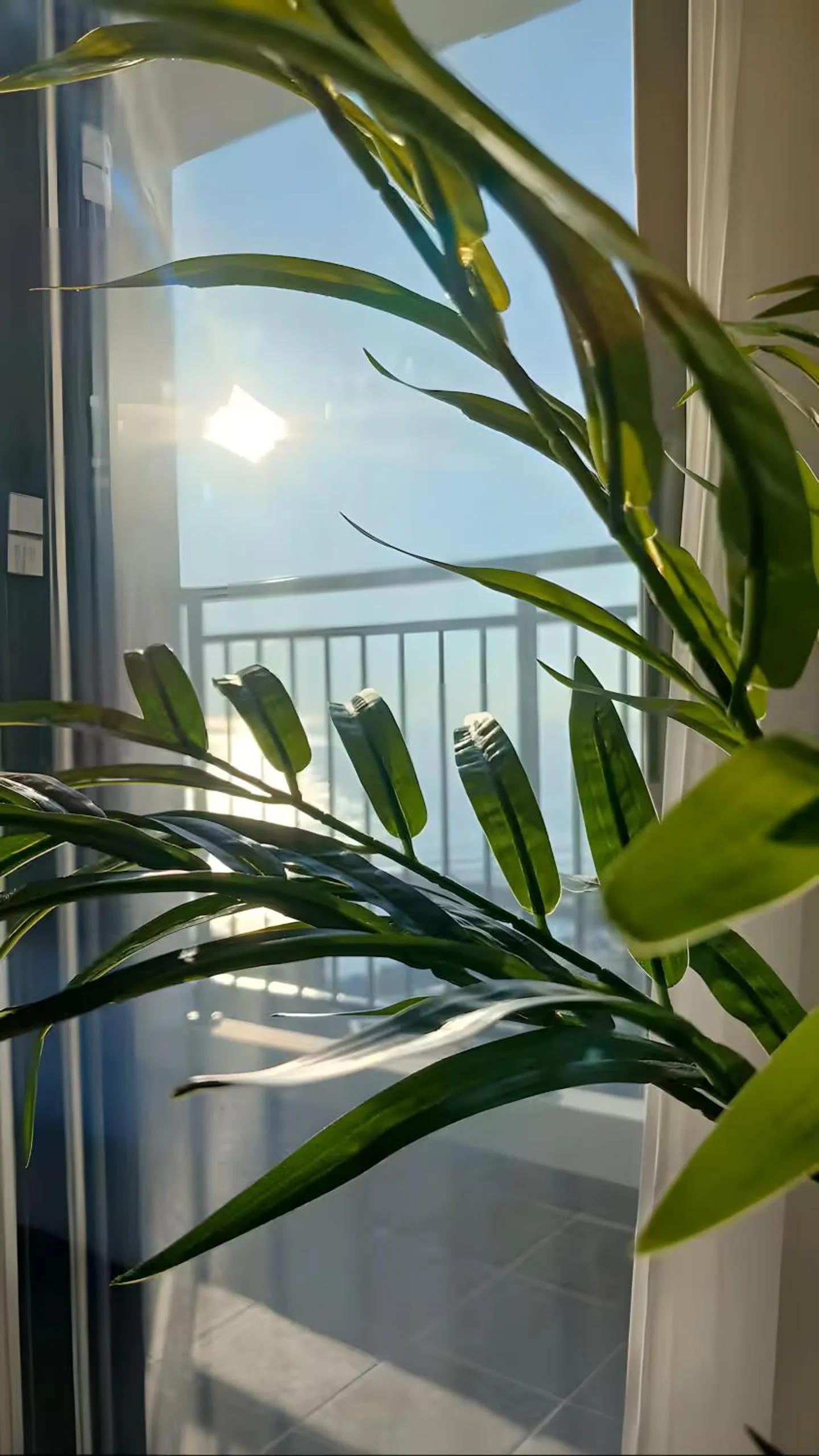 Other in SurfResort INN-The City YangYang