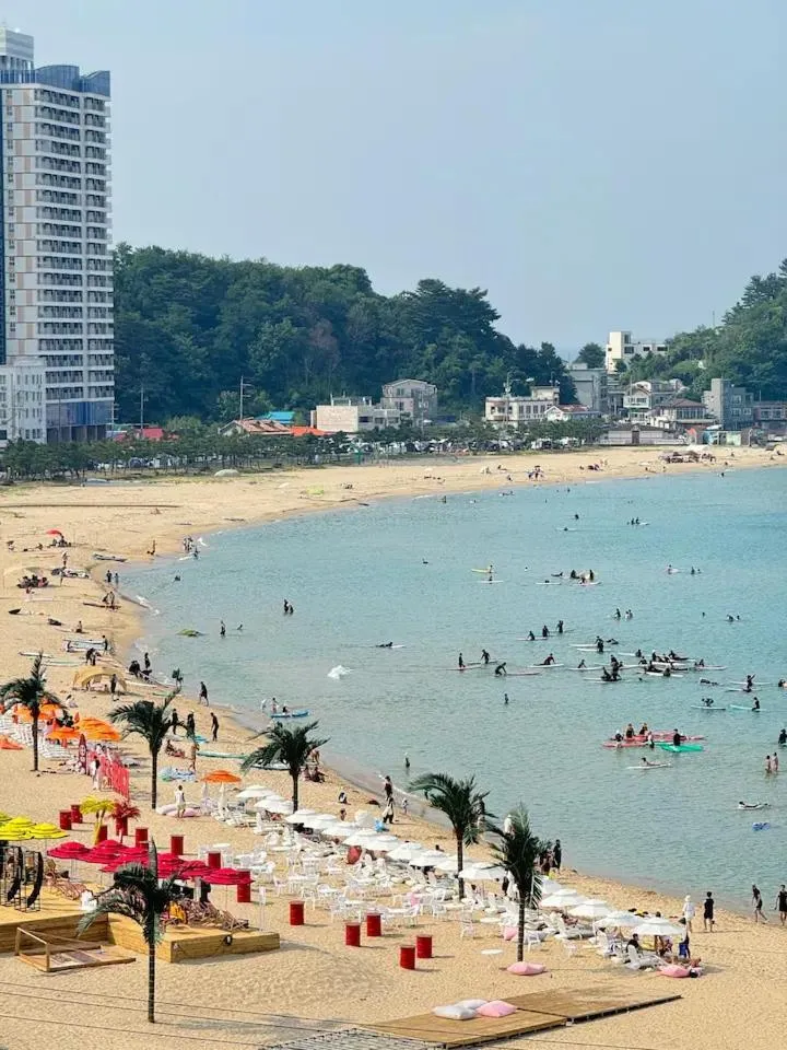 Nearby landmark in SurfResort INN-The City YangYang