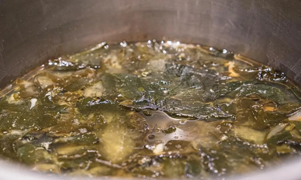 Daegu Dongseongro Hotel Labella