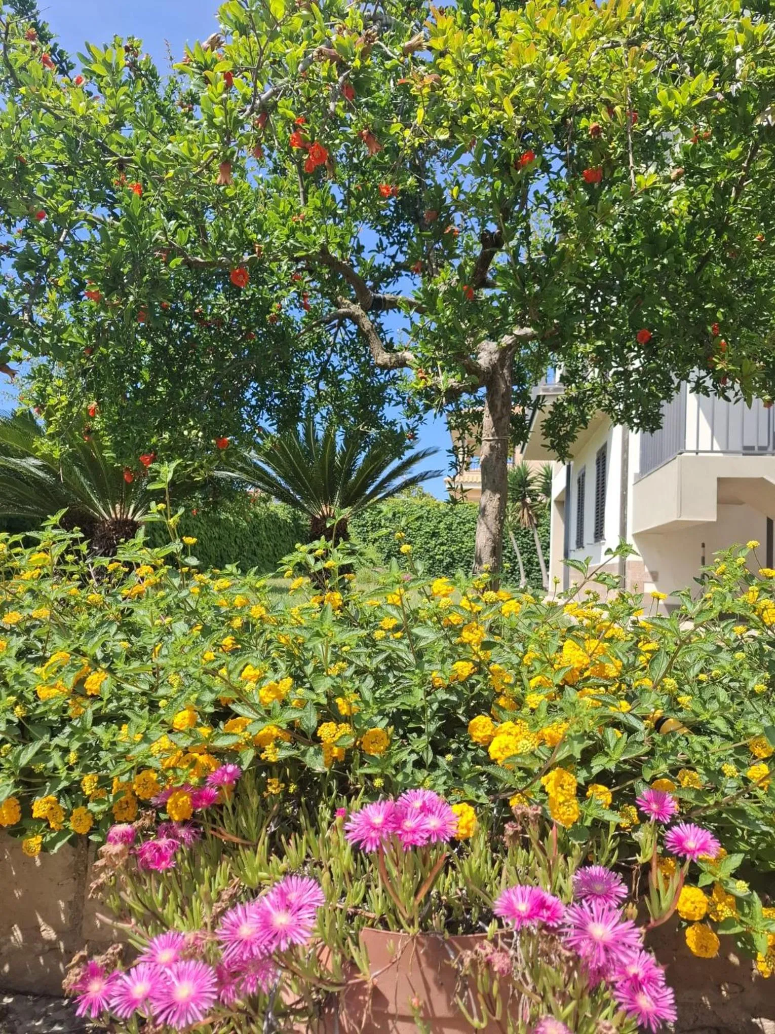 Garden in IL MELOGRANO RESIDENCE MARZAMEMI