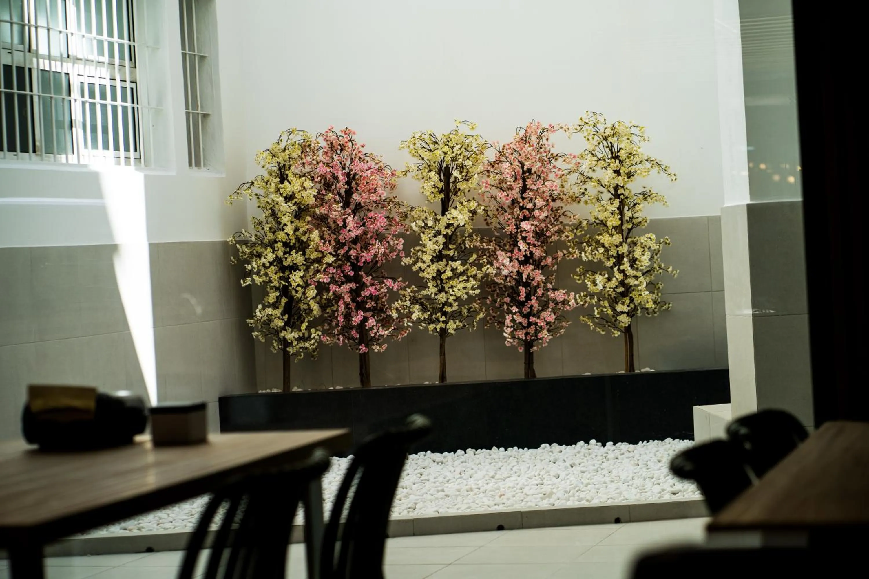 Garden in Futurotel Sevilla