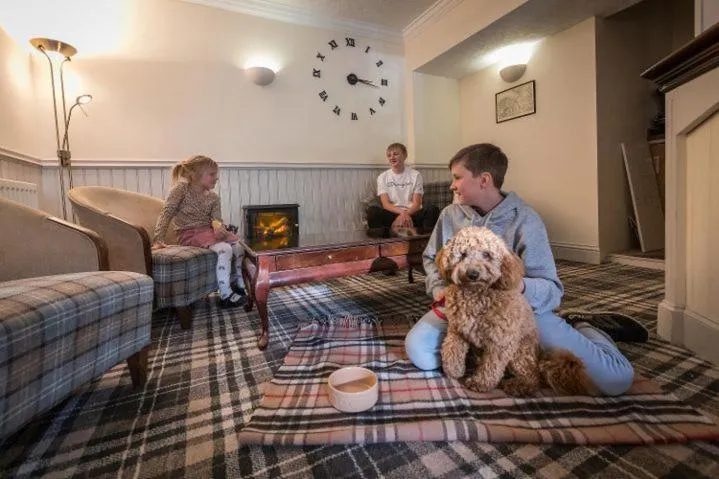 Pets in Castletown Hotel