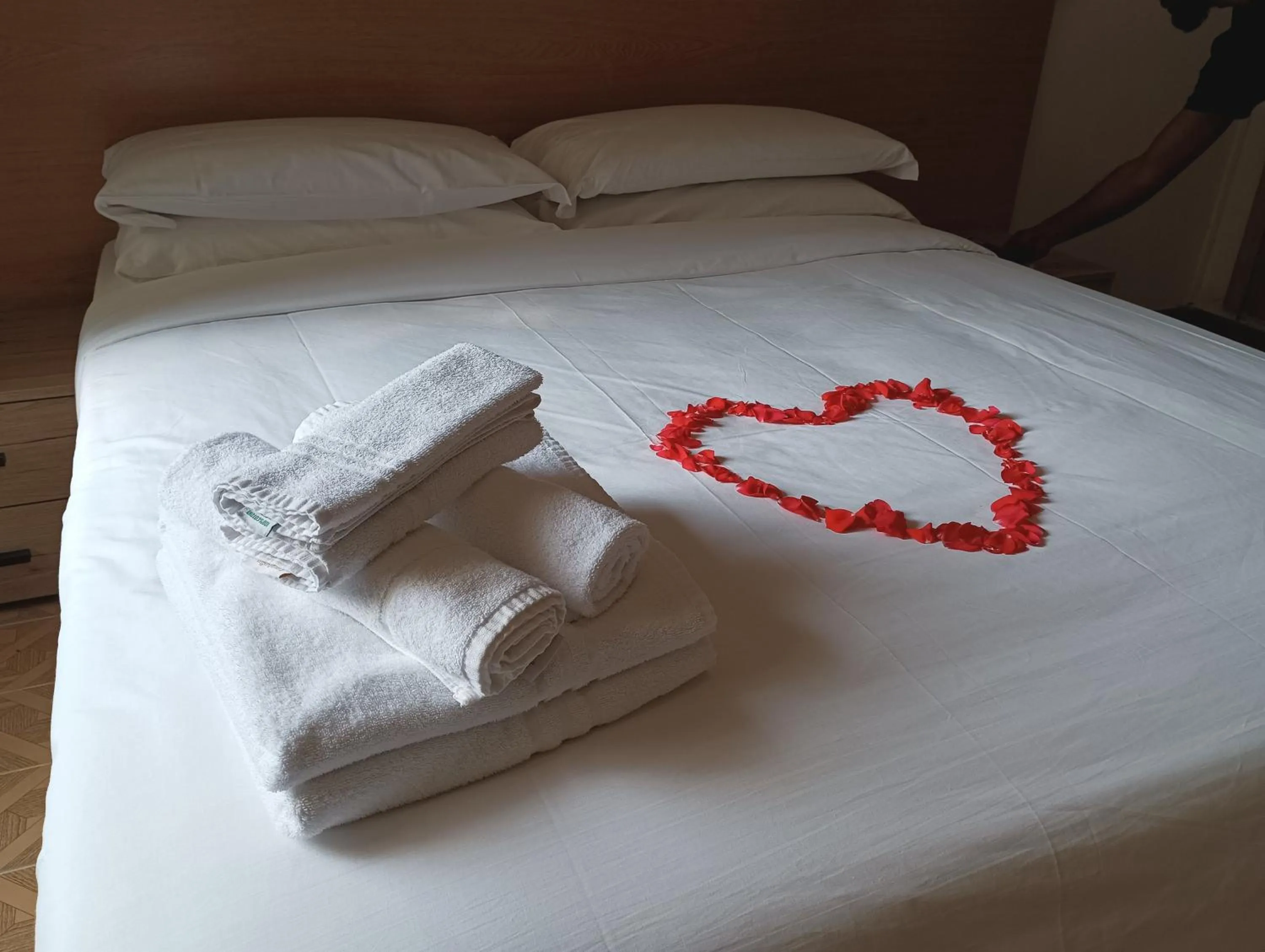 Double Room with Private Bathroom in Hotel Tito