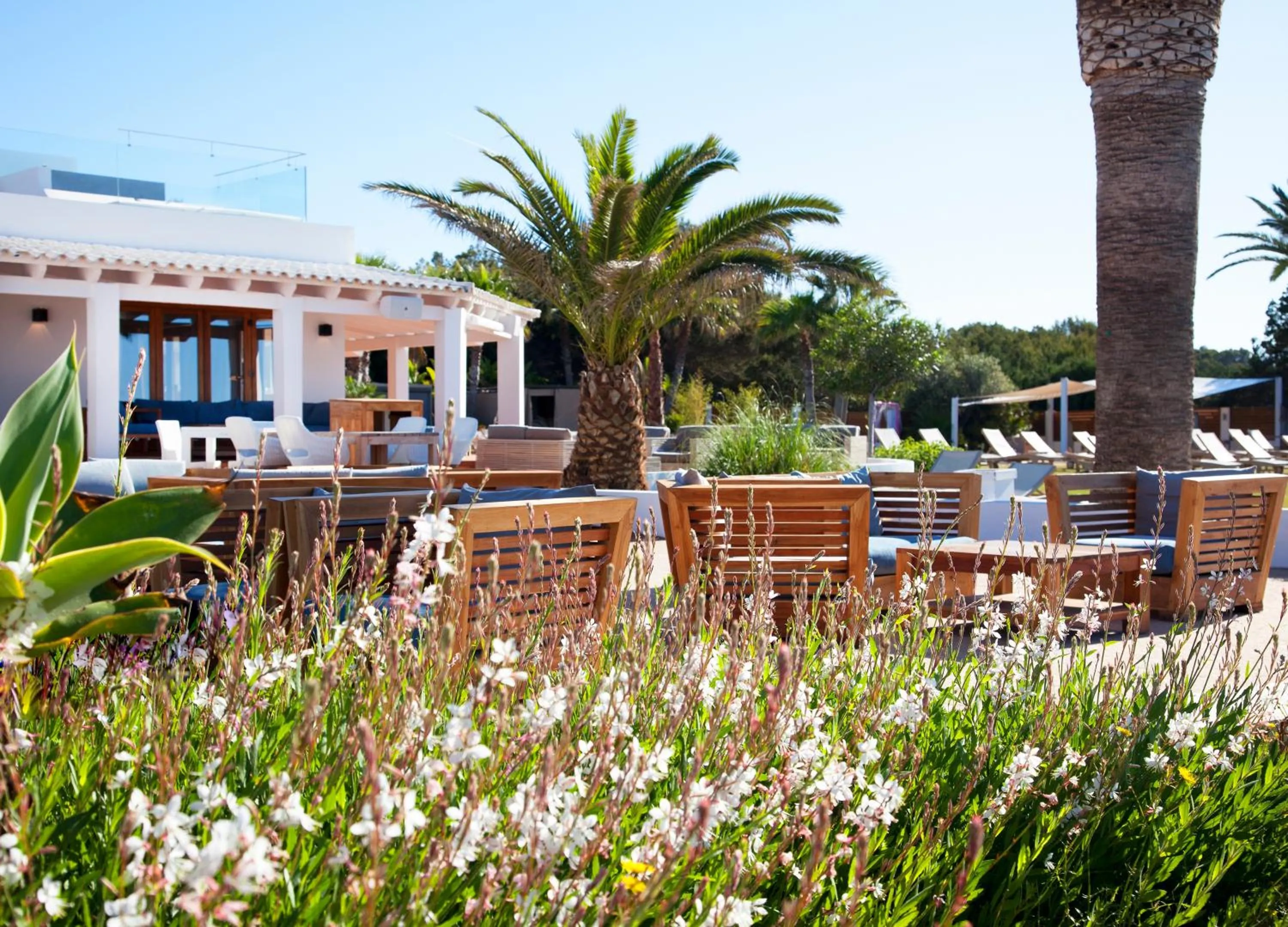 Restaurant/places to eat in Gecko Hotel & Beach Club