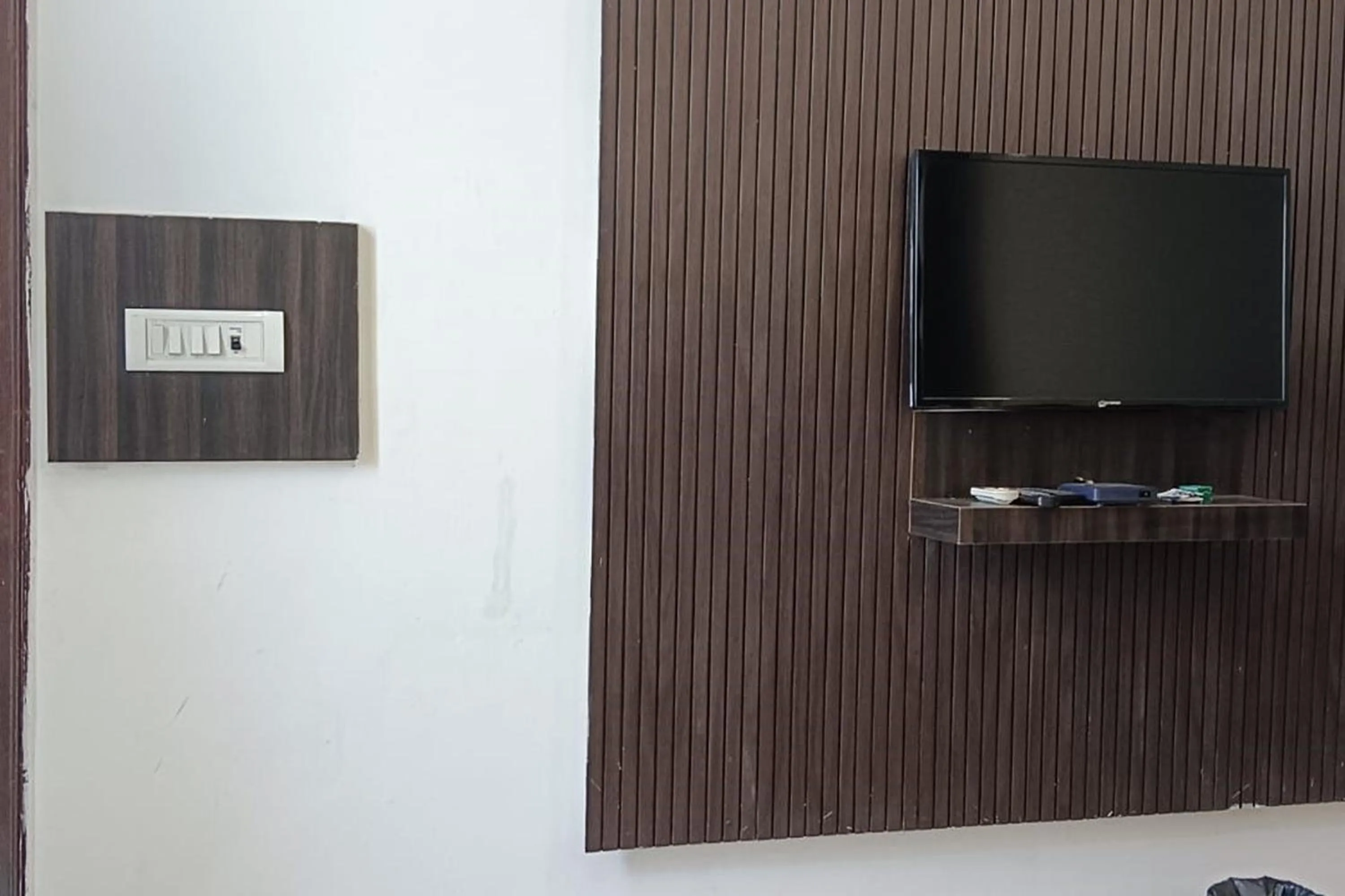 TV and multimedia in Hotel Shree Kanta