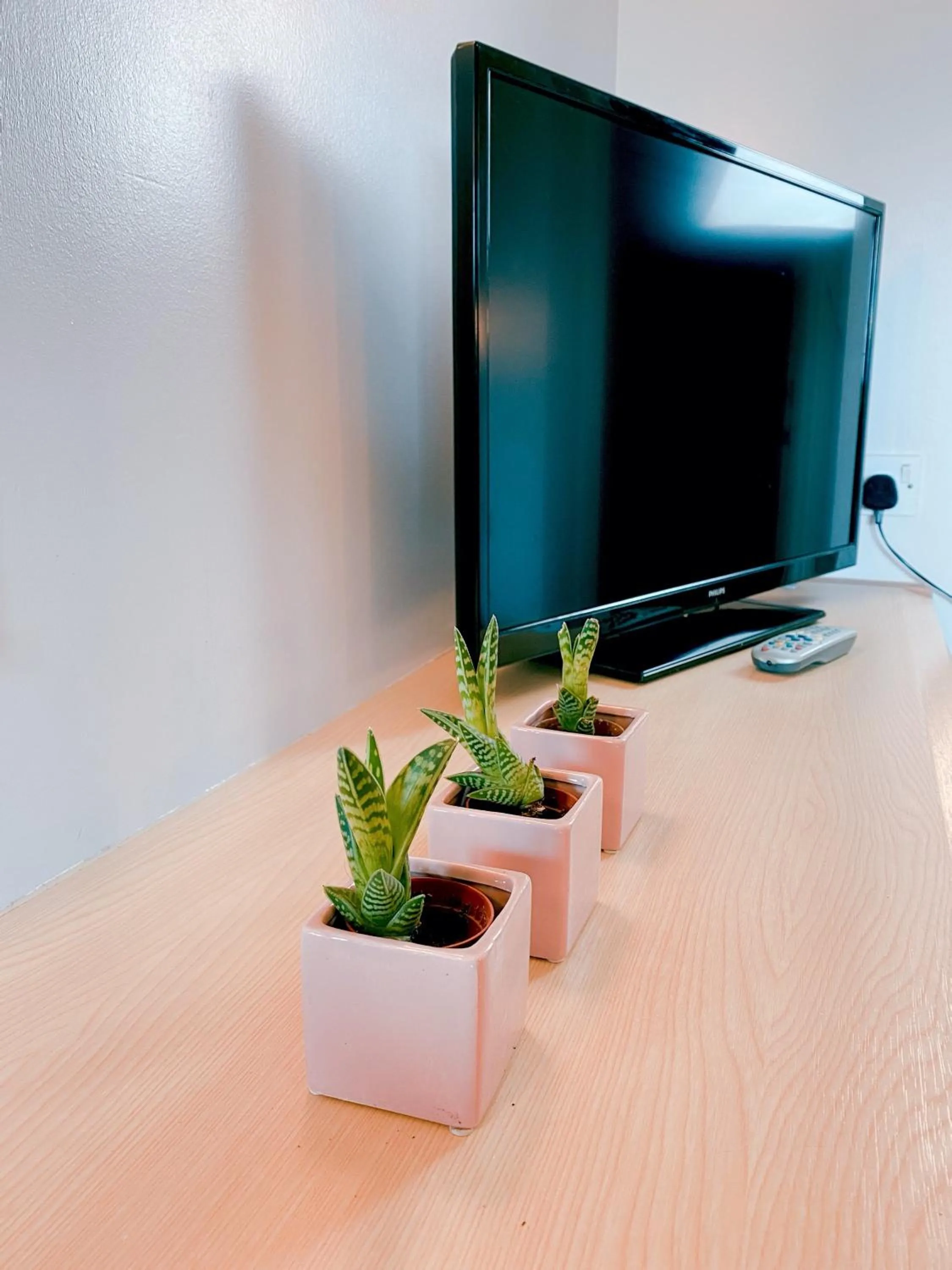 TV and multimedia in Redwings Lodge Sawtry Huntingdon