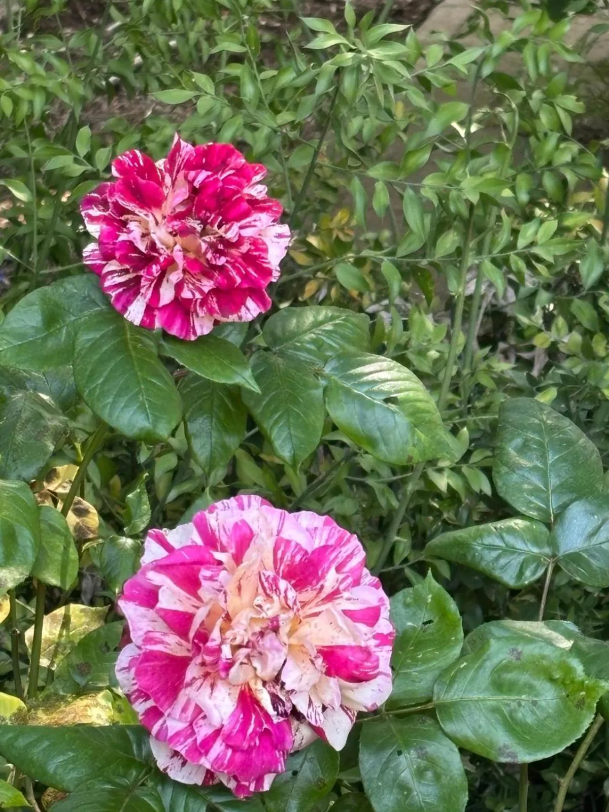 Hotel El Refugio de Juanar