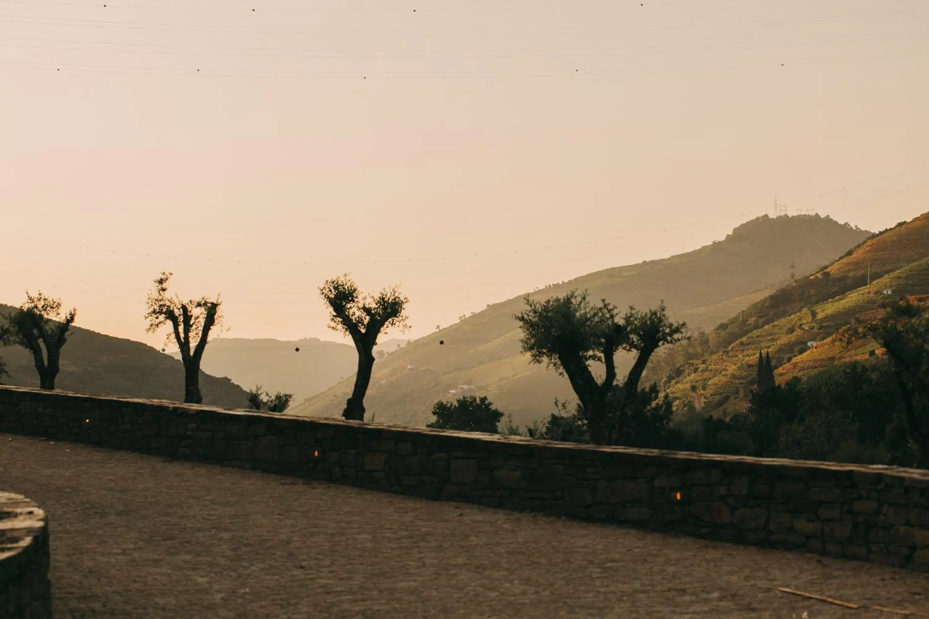 Torel Quinta da Vacaria - Douro Valley