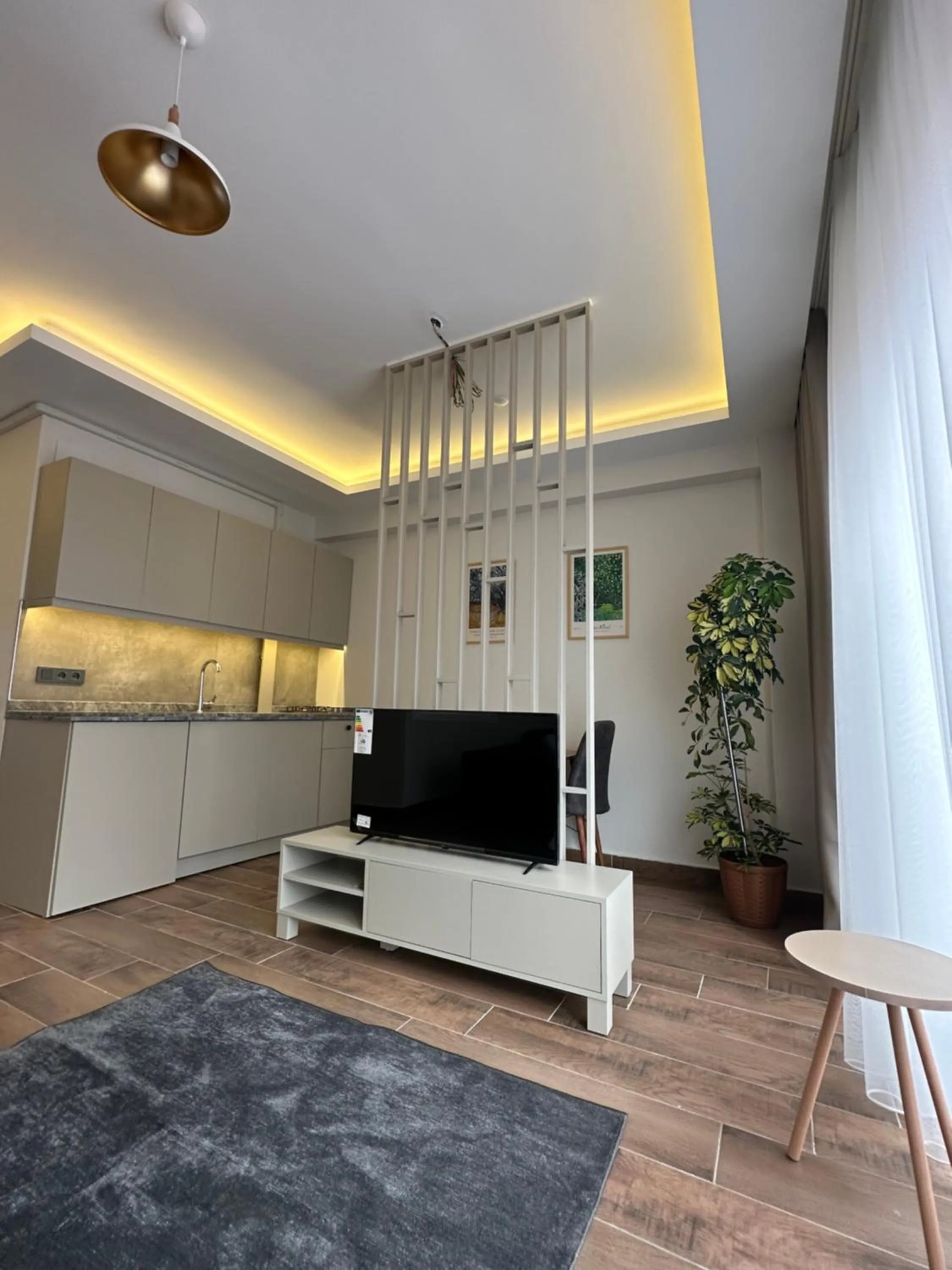 TV and multimedia in Vista Living Apartments