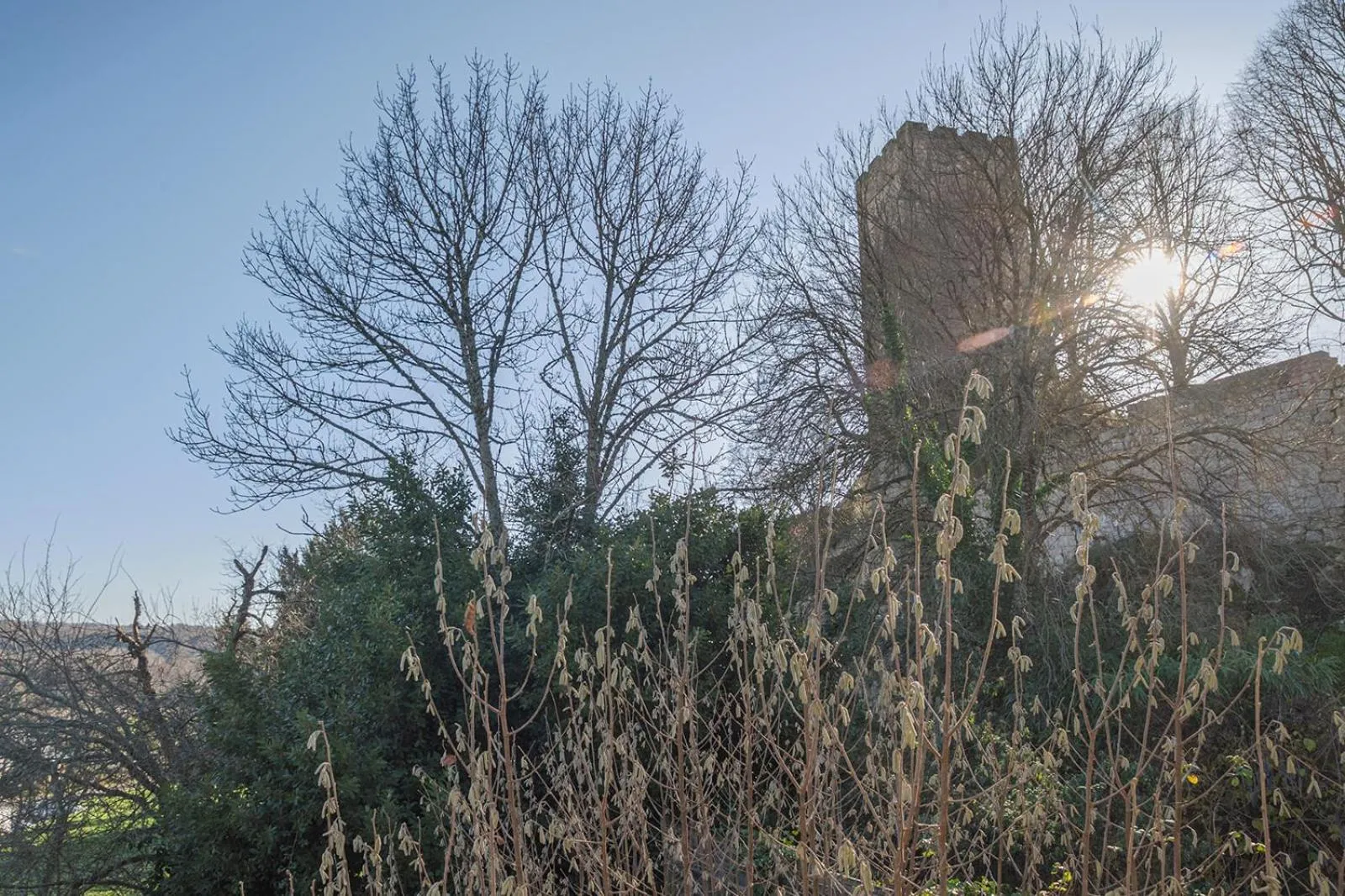 View (from property/room) in Le Fin Chapon