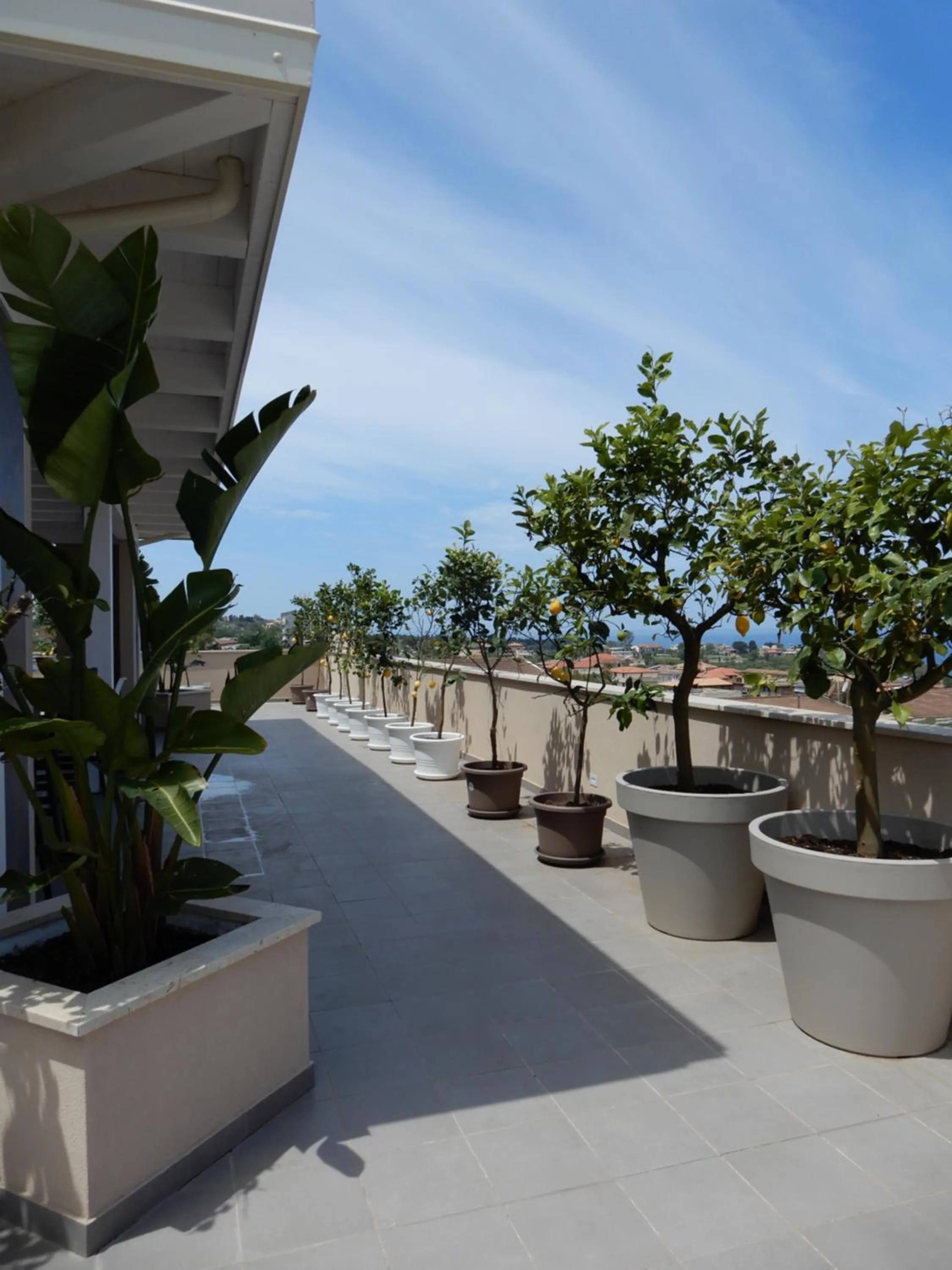 Day in Middle Town Palace