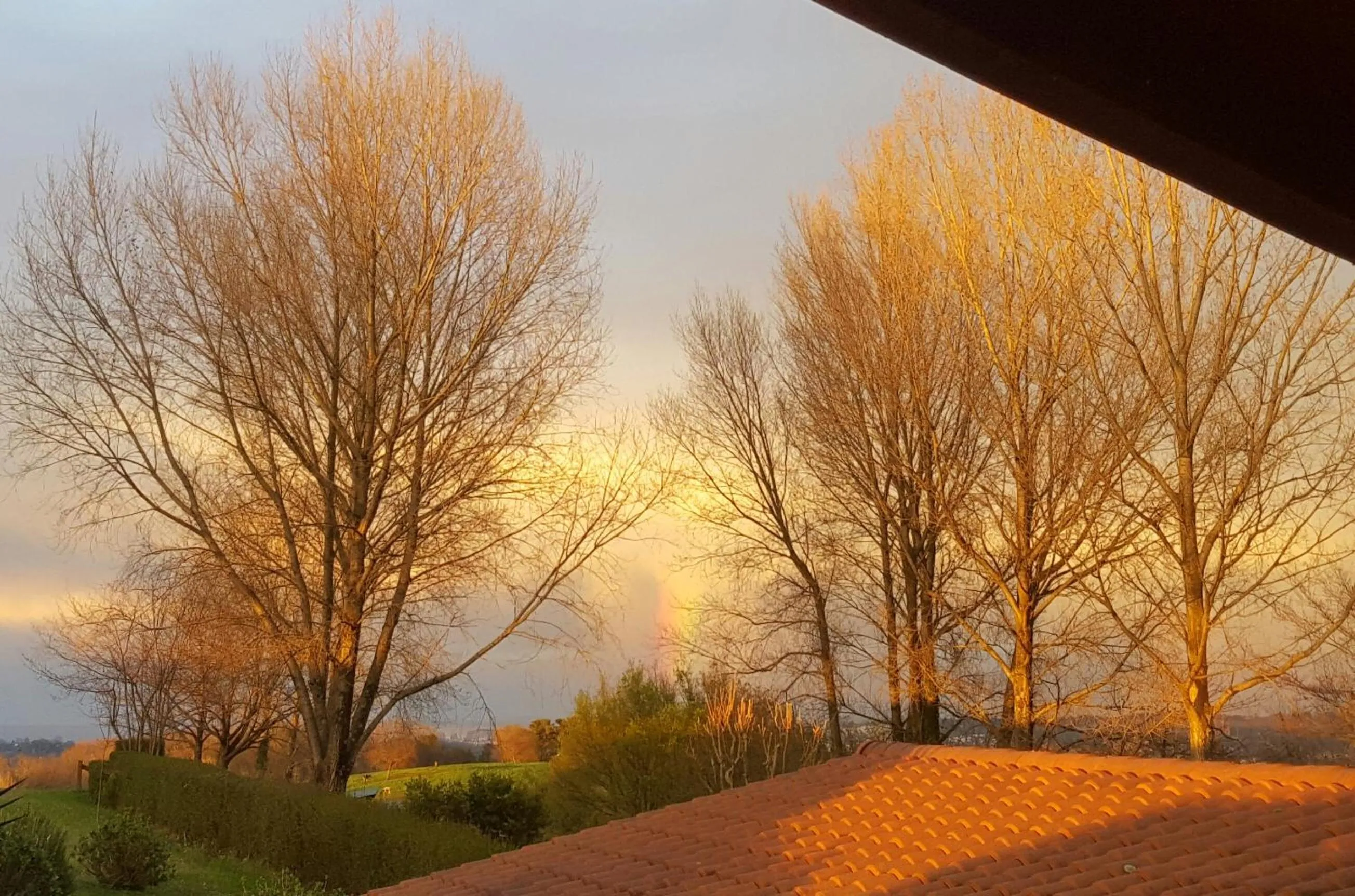 Garden view in Usategieta