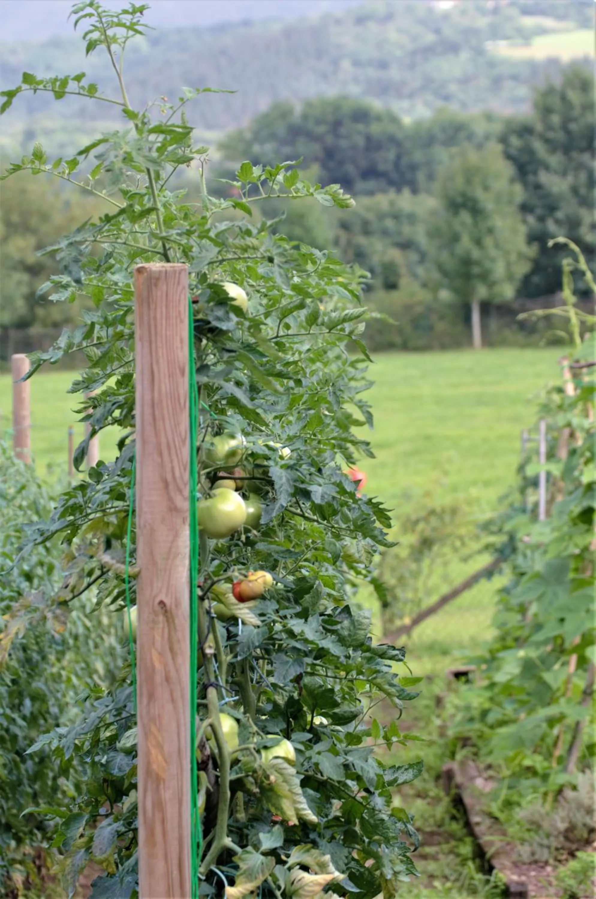 Off site in Usategieta